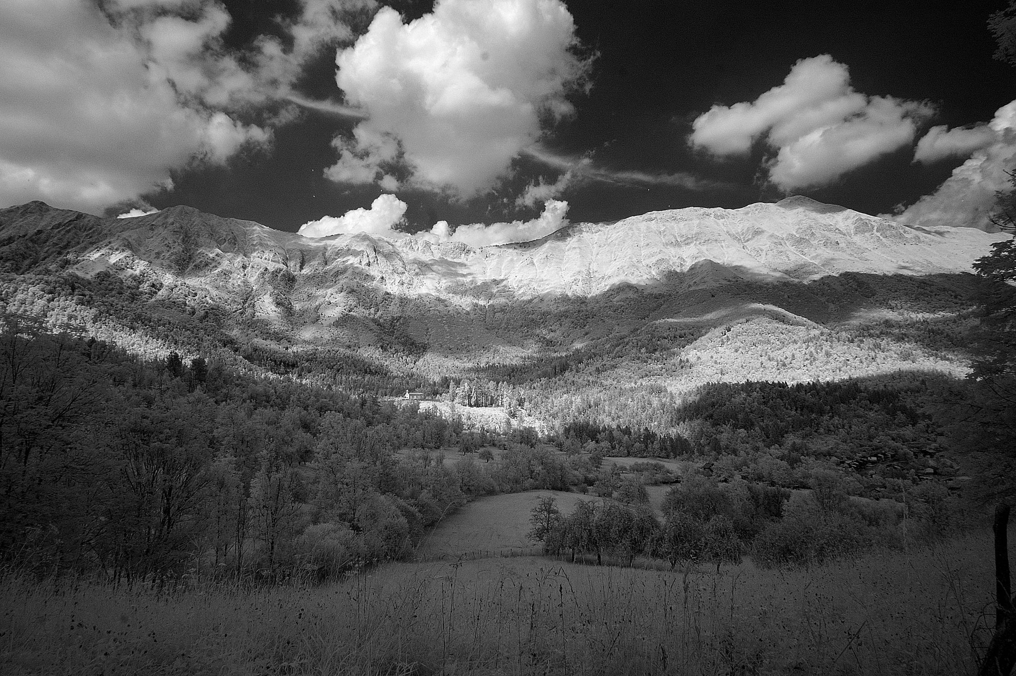 Nikon D70 + Nikon AF Nikkor 14mm F2.8D ED sample photo. Italia slovenja photography