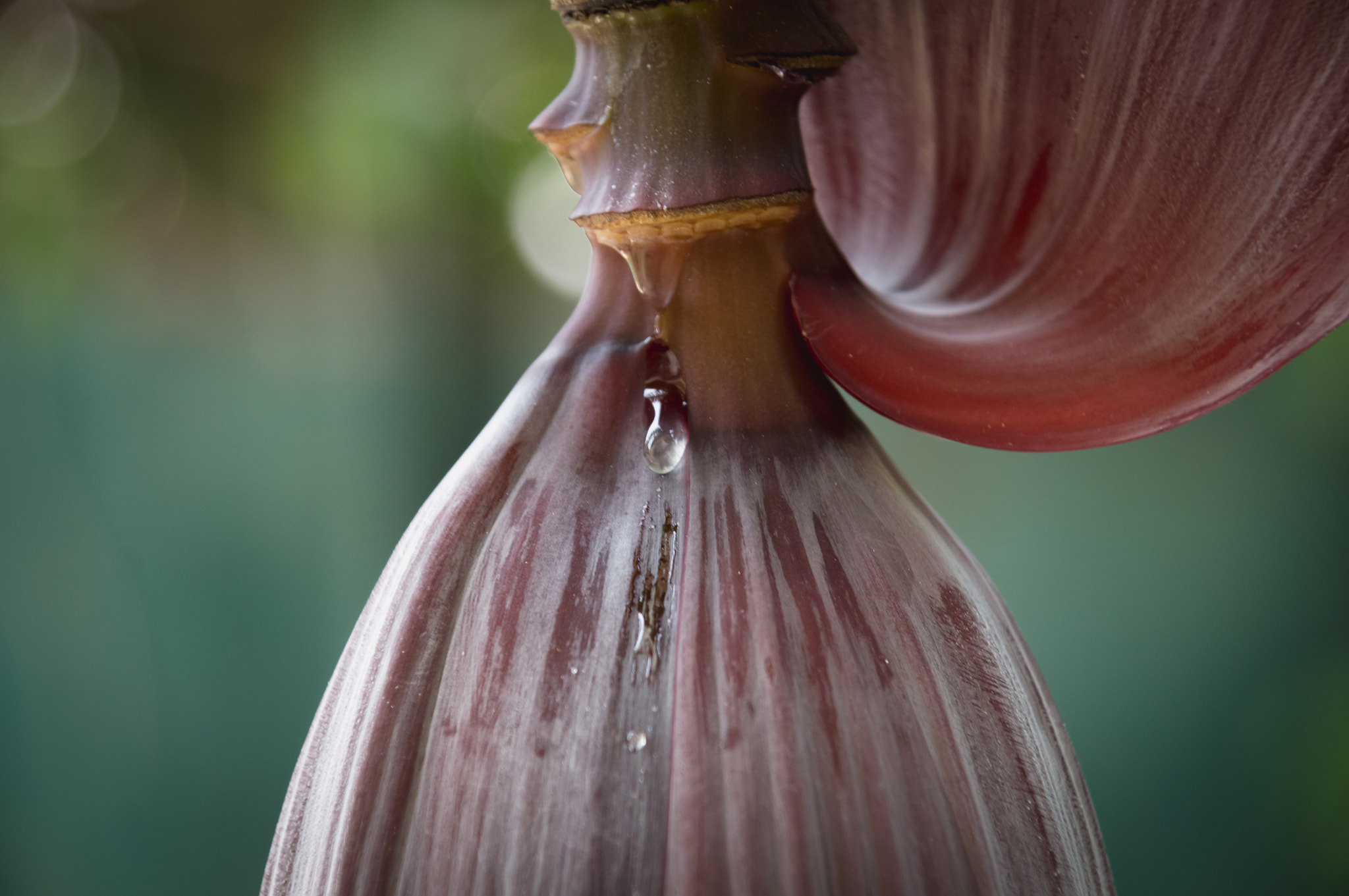 Sony DT 16-105mm F3.5-5.6 sample photo. Untitled photography