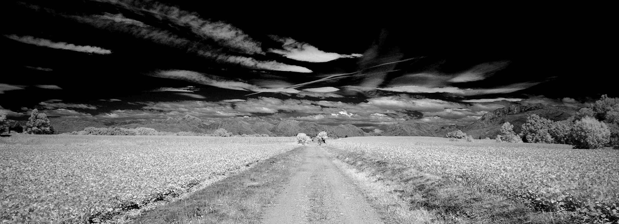 Nikon D70 sample photo. Panorama ippovia valle del cormor photography