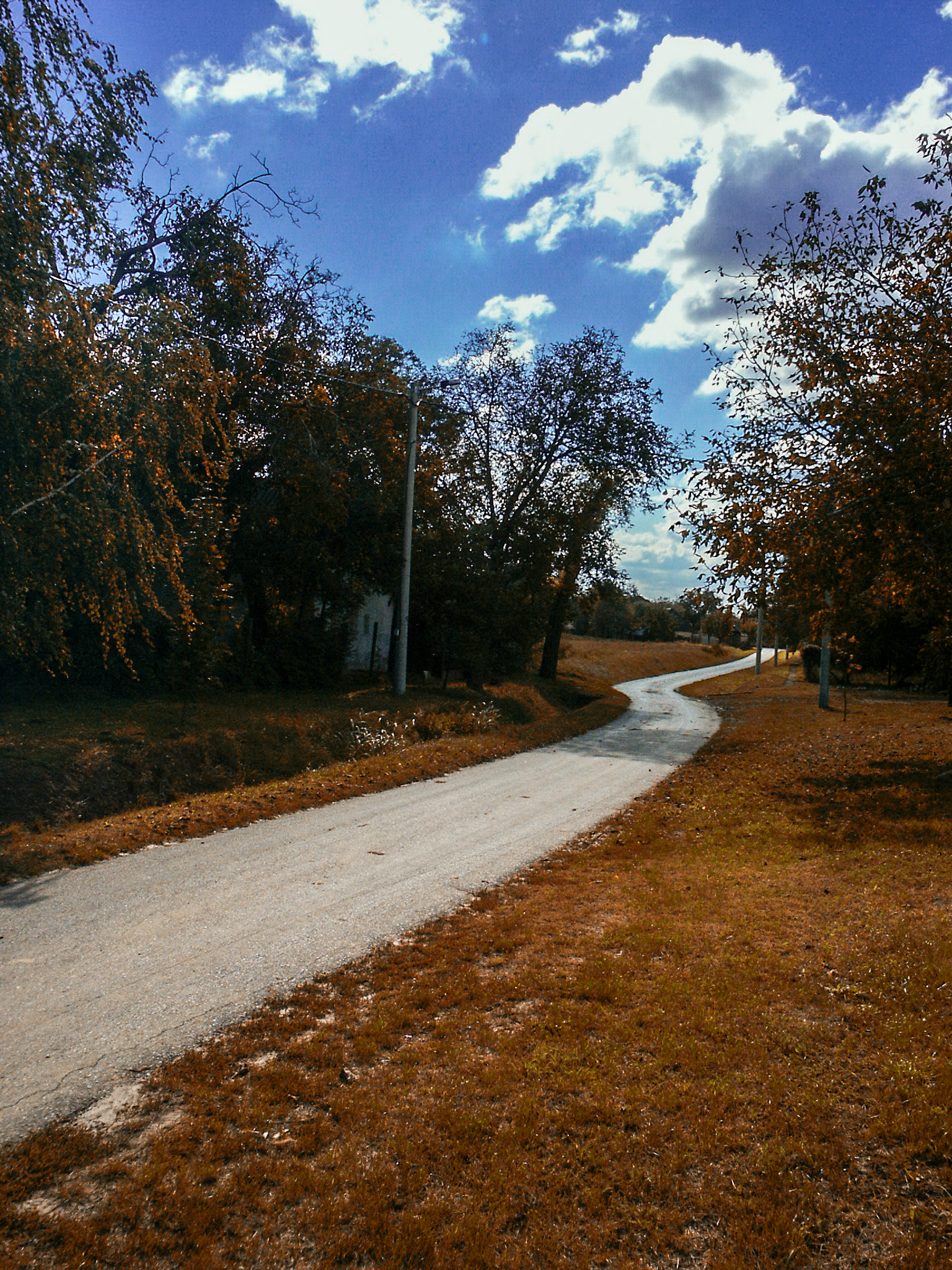 KONICA MINOLTA DiMAGE S414 sample photo. Road photography