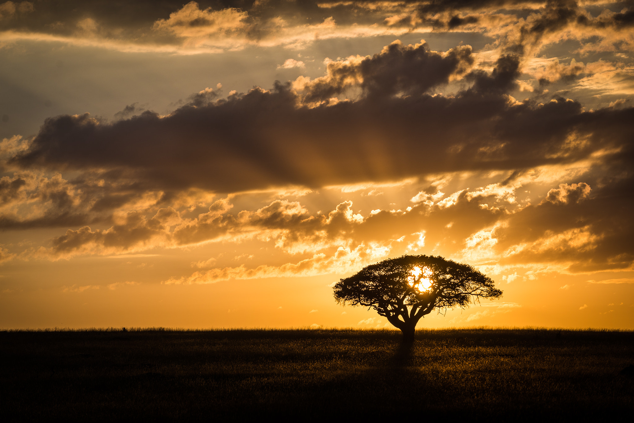 Nikon AF-S Nikkor 70-200mm F4G ED VR sample photo. Maasai mara sunset photography