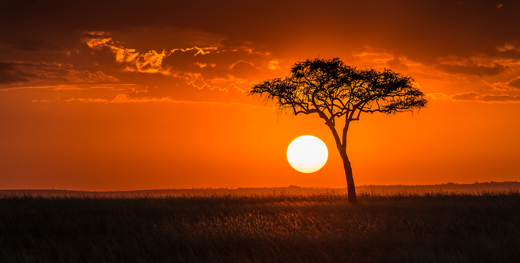 Nikon AF-S Nikkor 70-200mm F4G ED VR sample photo. Maasai mara sunset photography