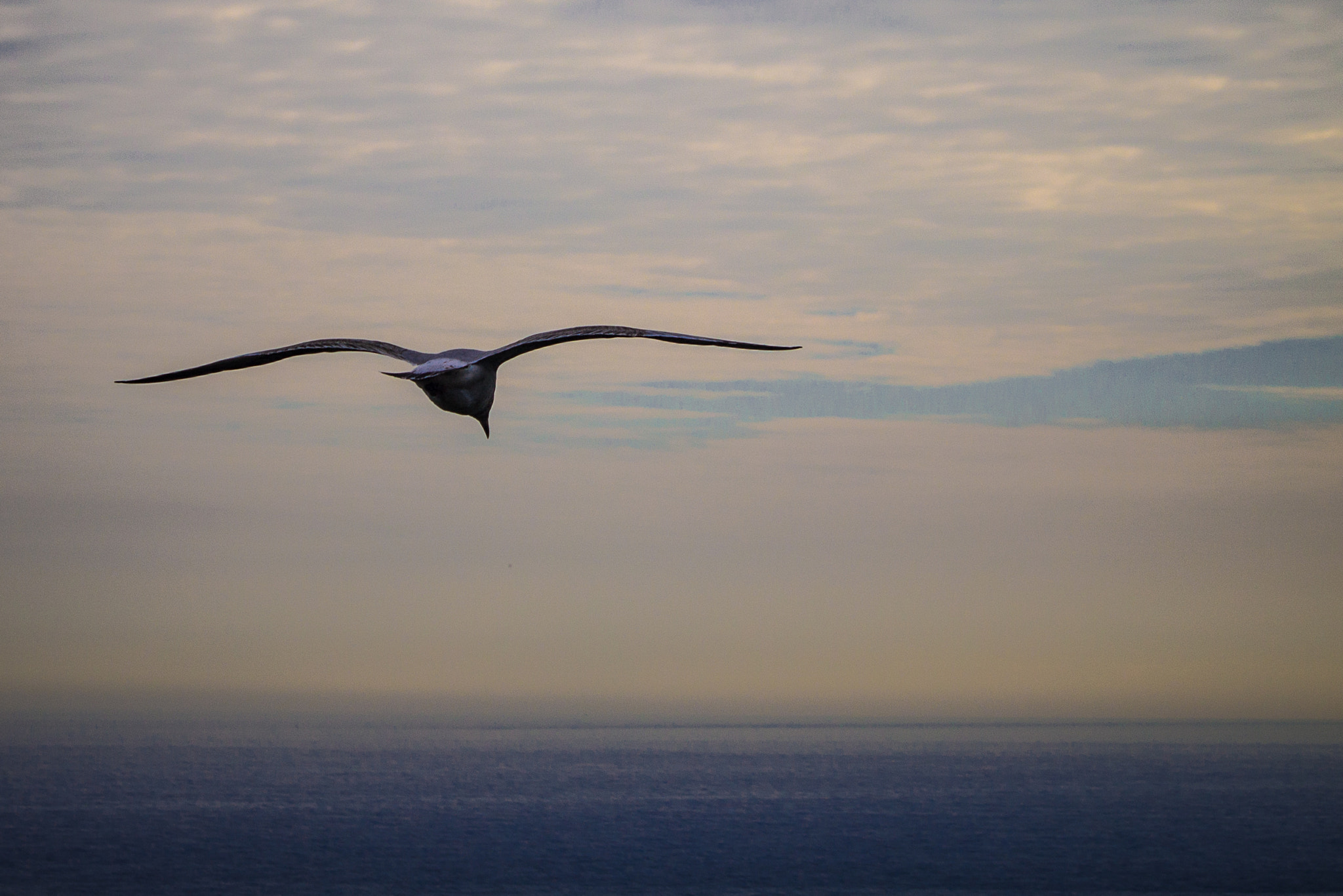 Canon EF-S 55-250mm F4-5.6 IS sample photo. Out to sea photography