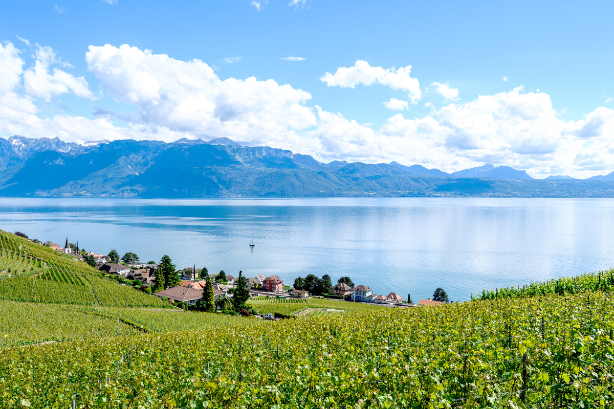 Nikon D5 sample photo. Lac léman photography