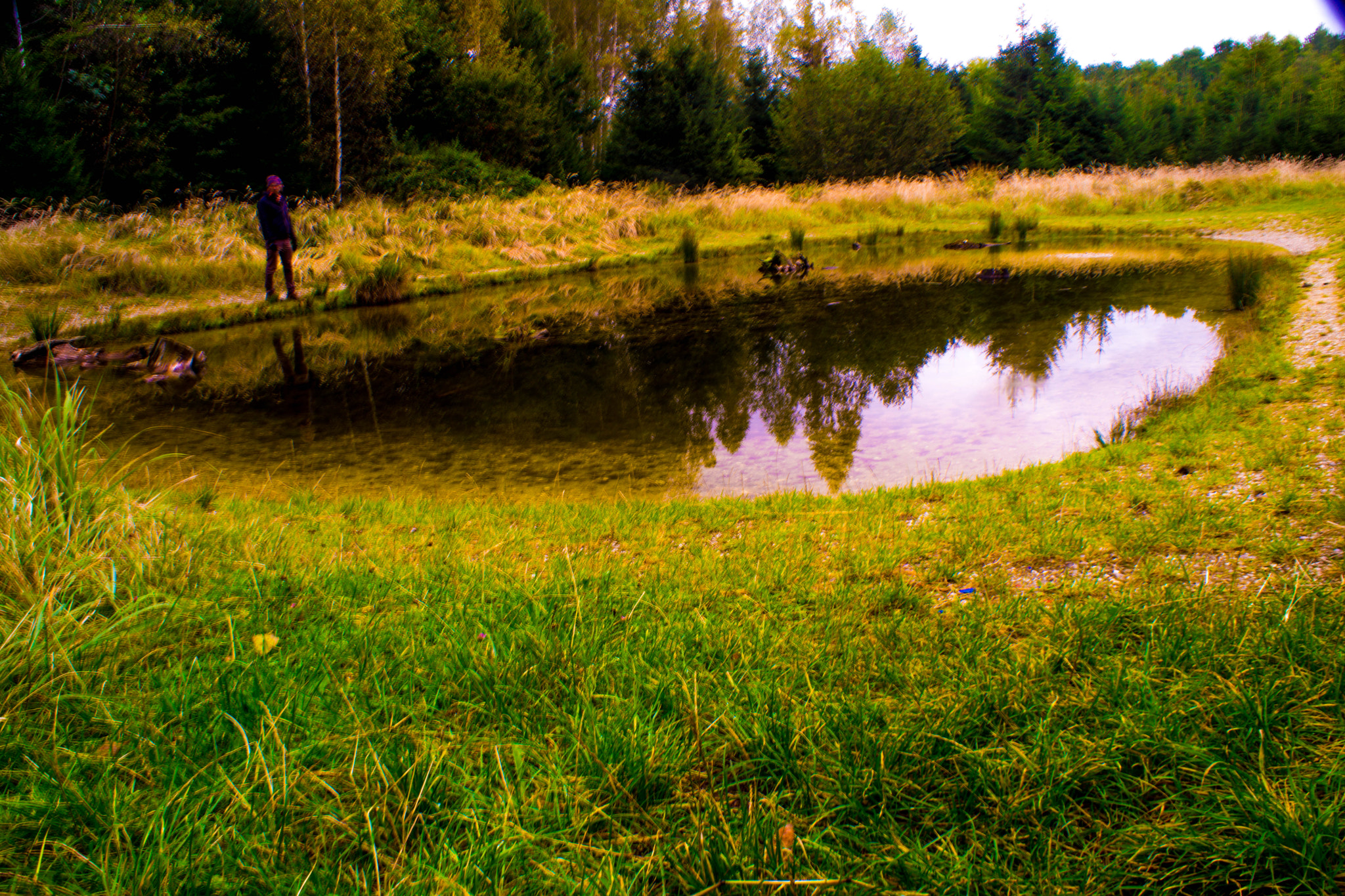 Sony DT 18-70mm F3.5-5.6 sample photo. Forstenrieder park photography