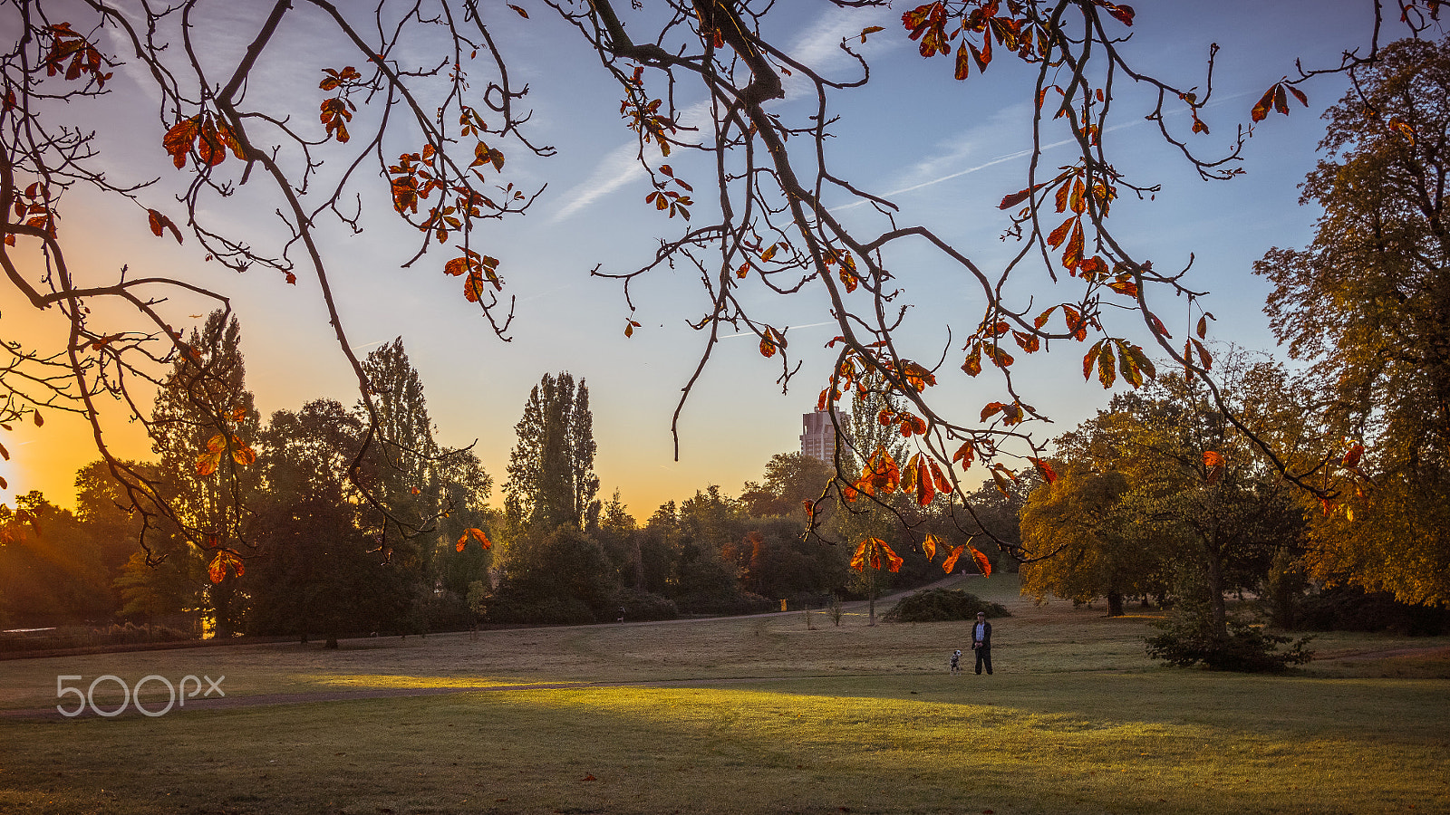 Panasonic Lumix DMC-GX85 (Lumix DMC-GX80 / Lumix DMC-GX7 Mark II) + LUMIX G 20/F1.7 II sample photo. Early morning photography