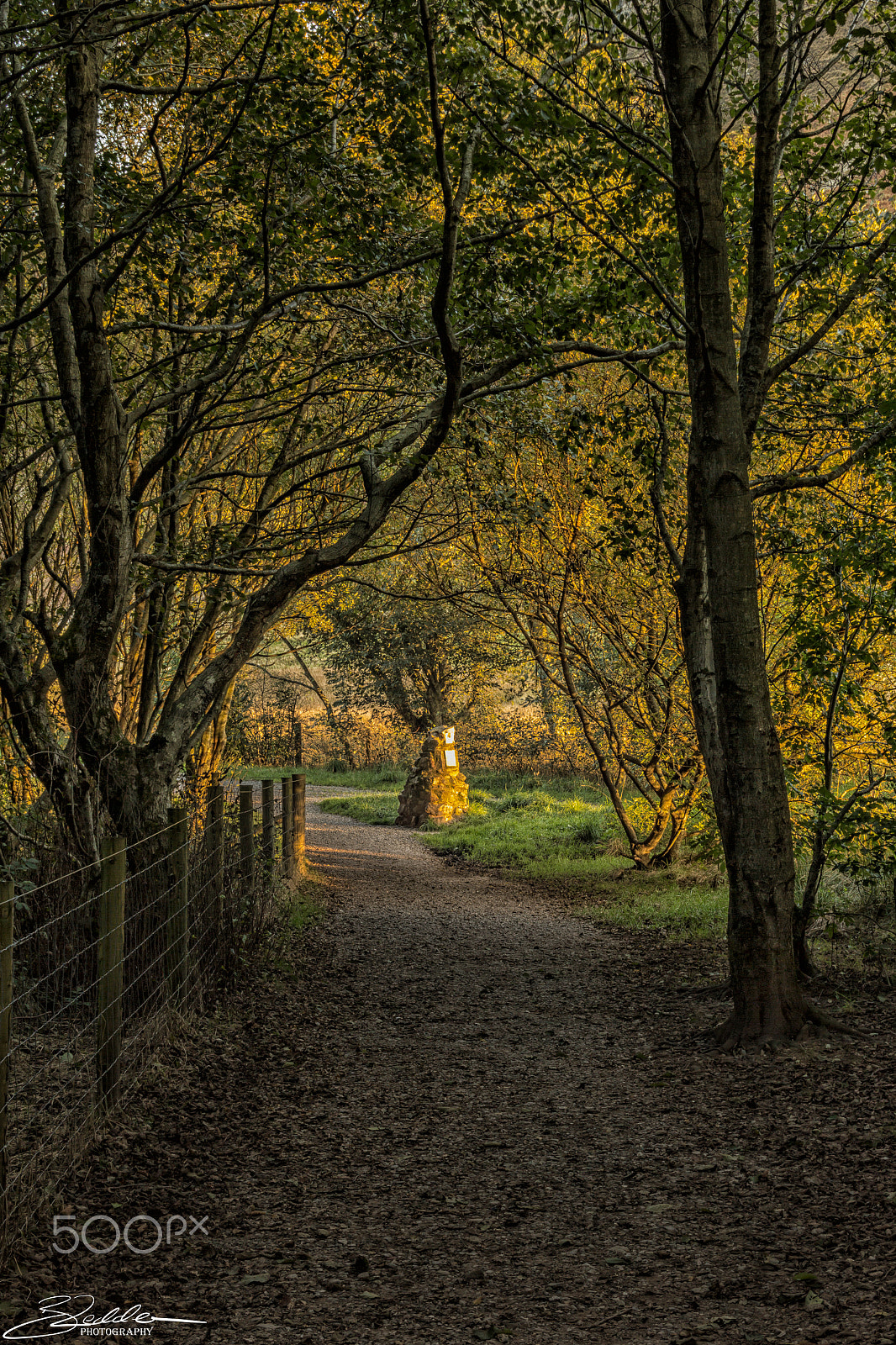 Sigma 18-125mm F3.8-5.6 DC OS HSM sample photo. Ennerdale photography