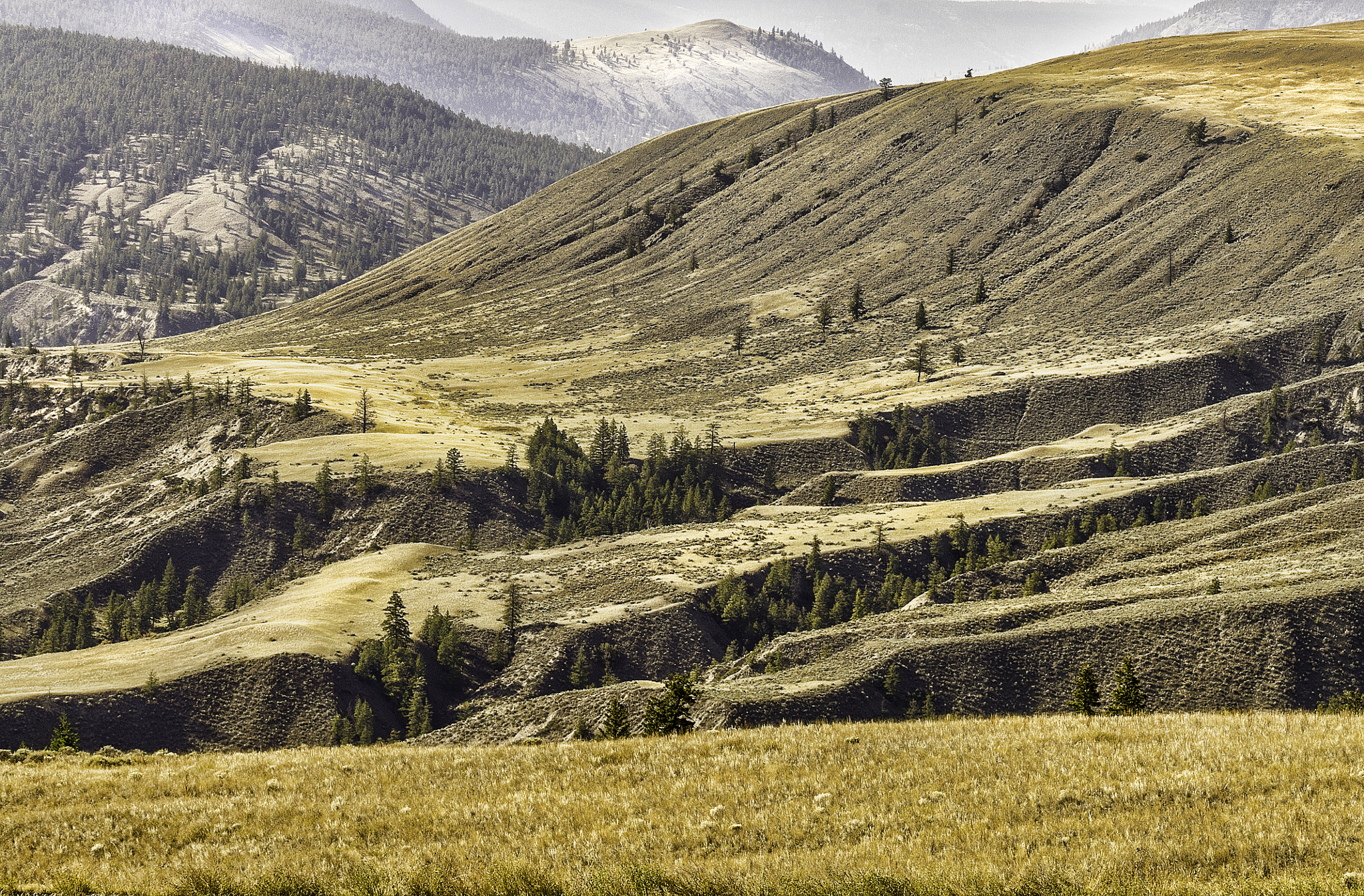 Sony a7R sample photo. Arid photography