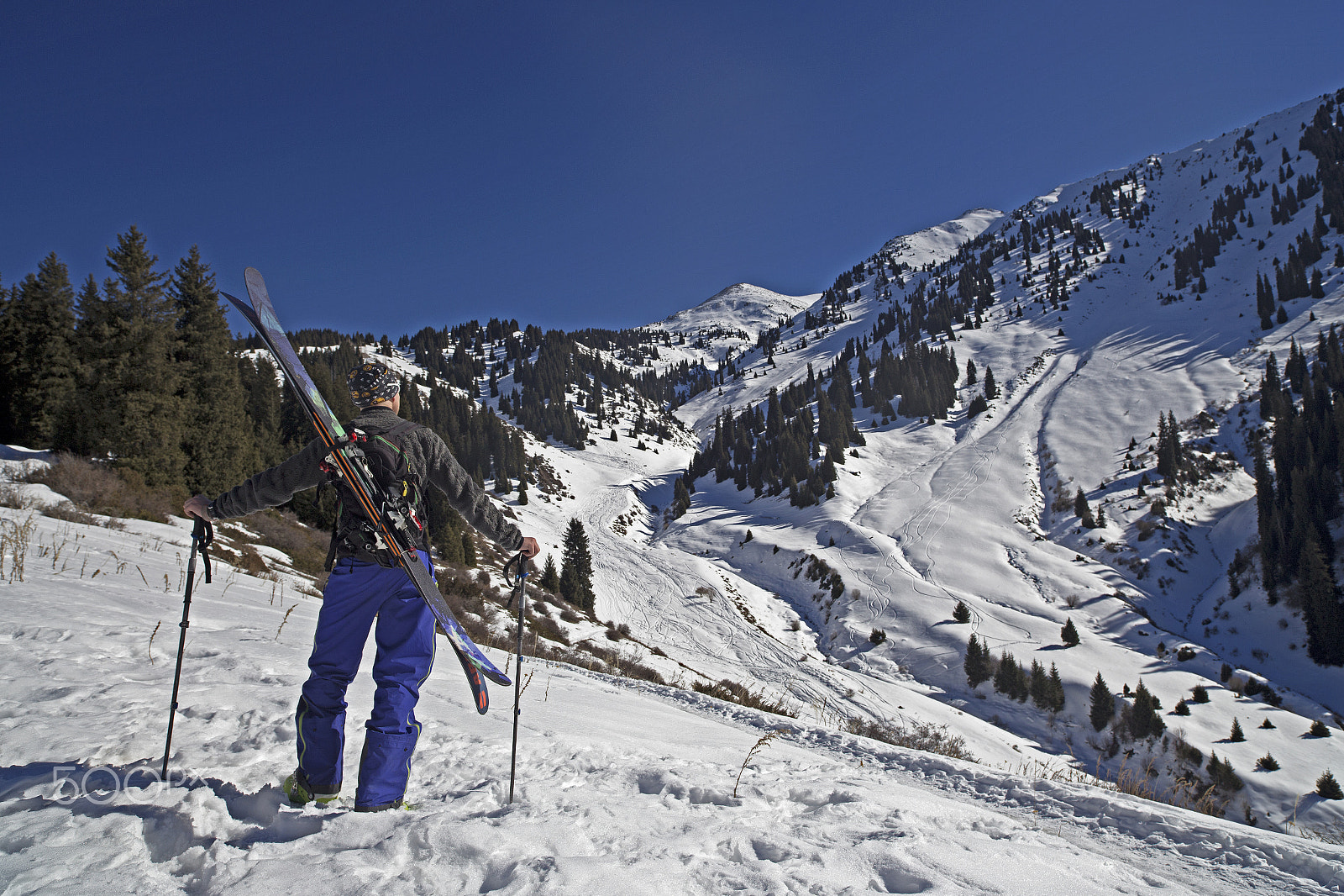 Canon EOS 6D sample photo. The ski guide photography