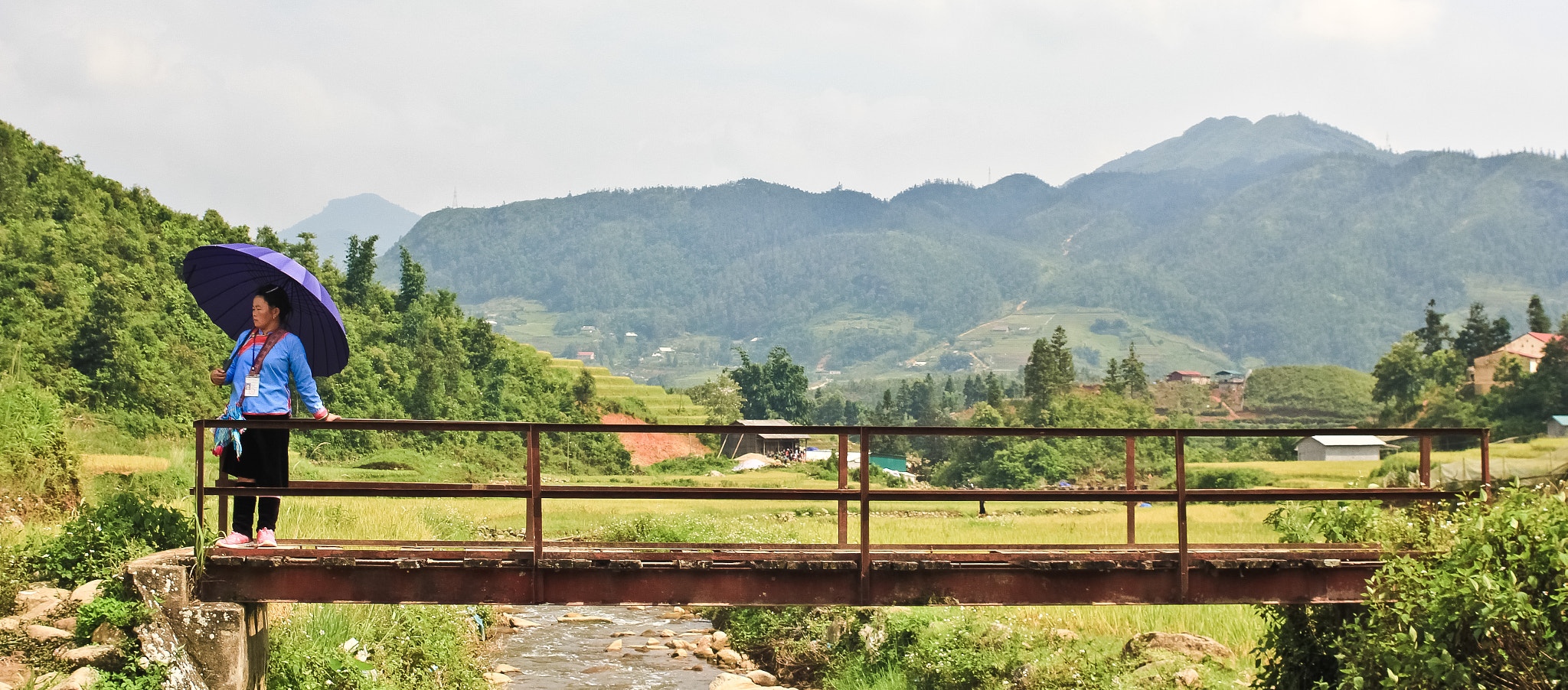 Canon EF 35-70mm f/3.5-4.5 sample photo. Rice fields - sa pa photography