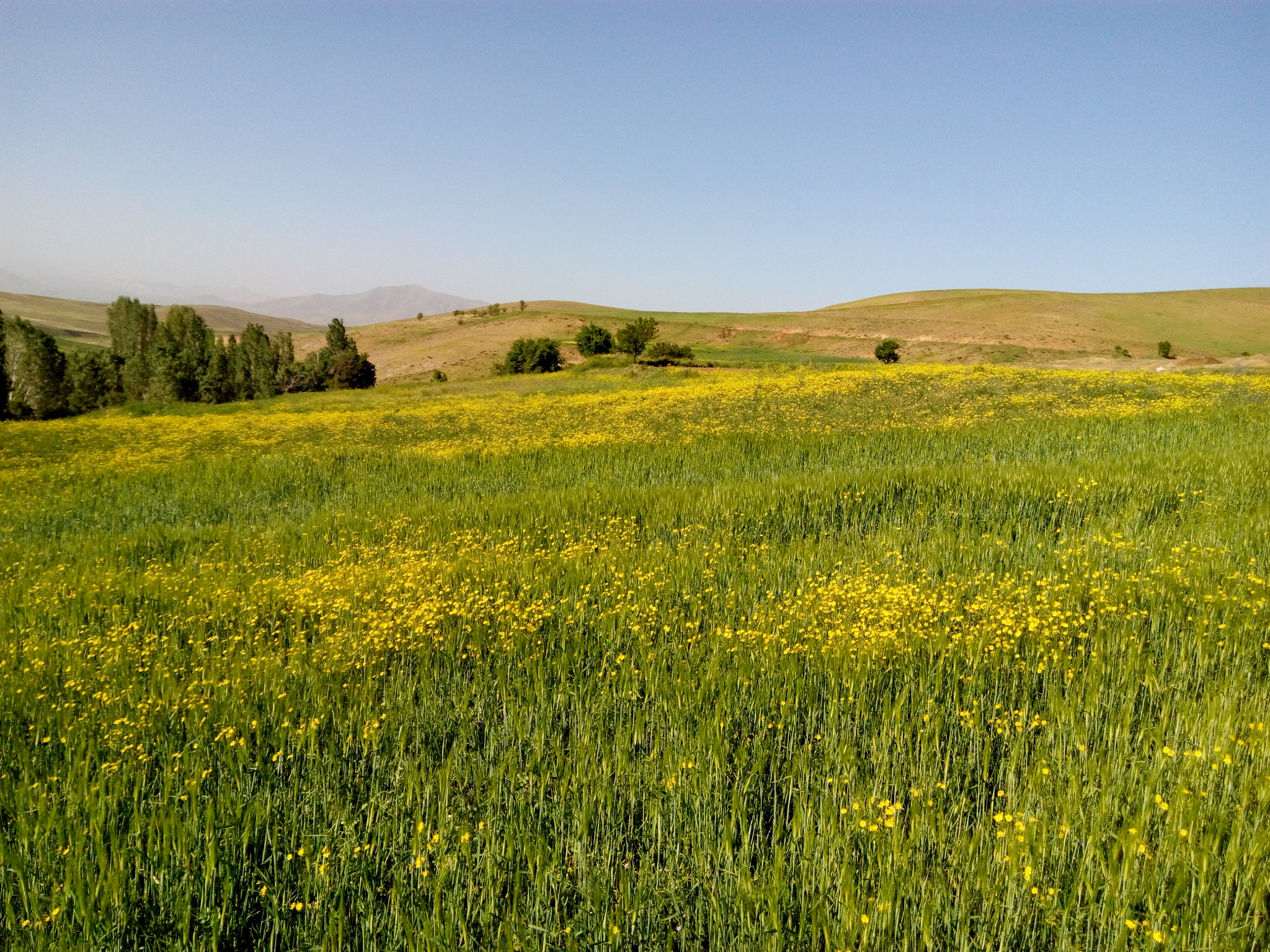 HTC DESIRE 816G DUAL SIM sample photo