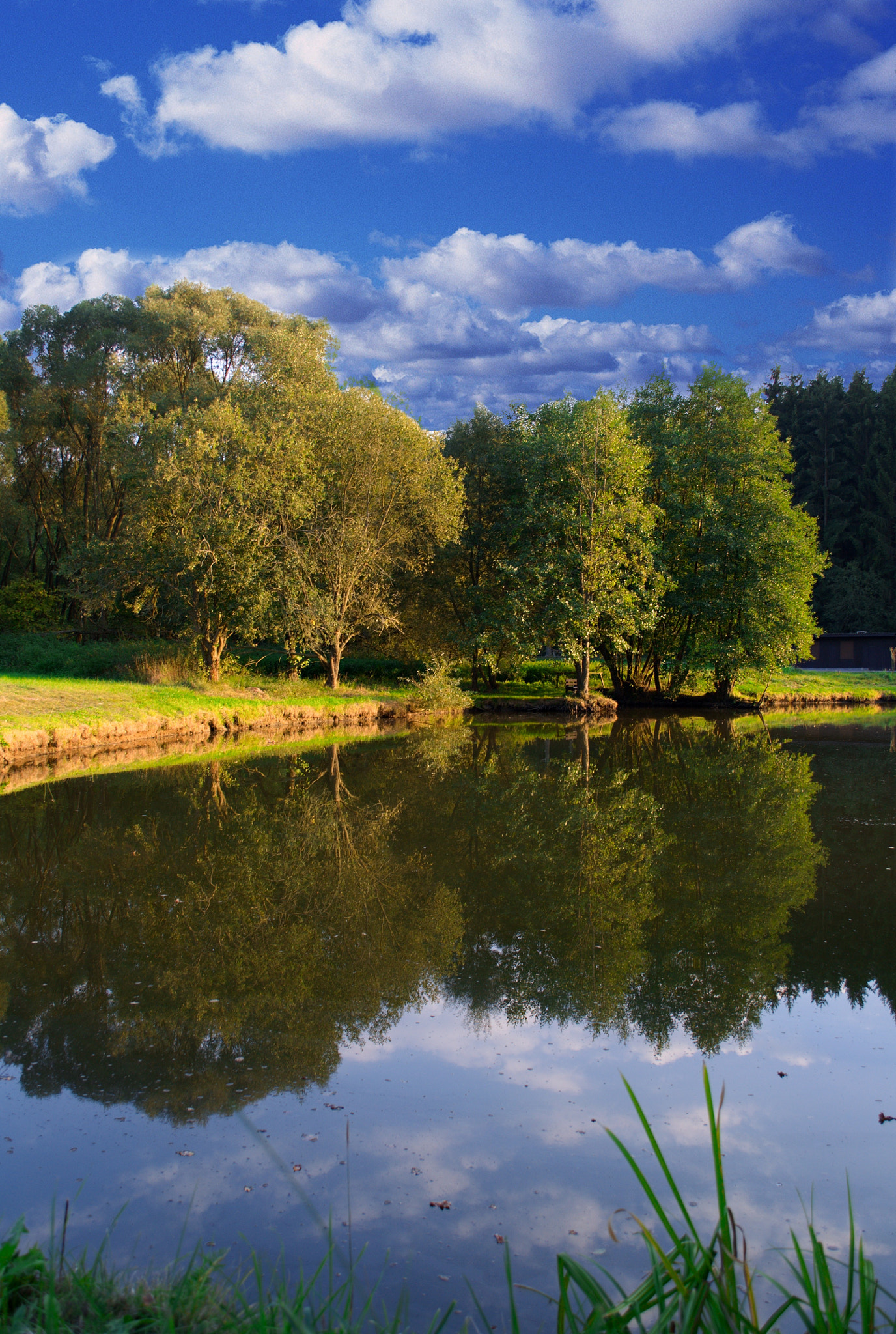 Nikon D3100 + 18.00 - 55.00 mm f/3.5 - 5.6 sample photo. The pond in the czech republic photography