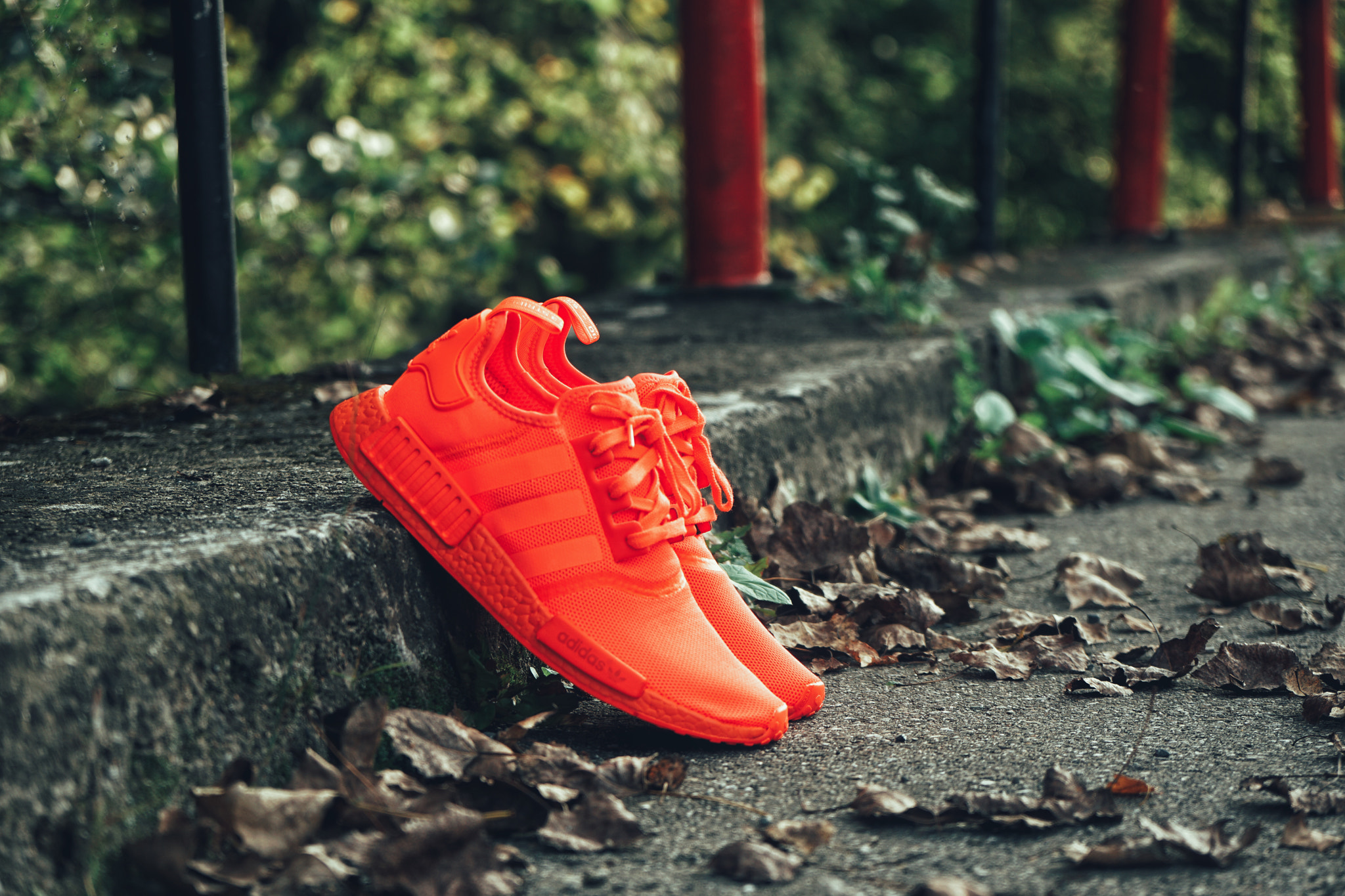Sony Vario-Tessar T* E 16-70mm F4 ZA OSS sample photo. Adidas nmd photography