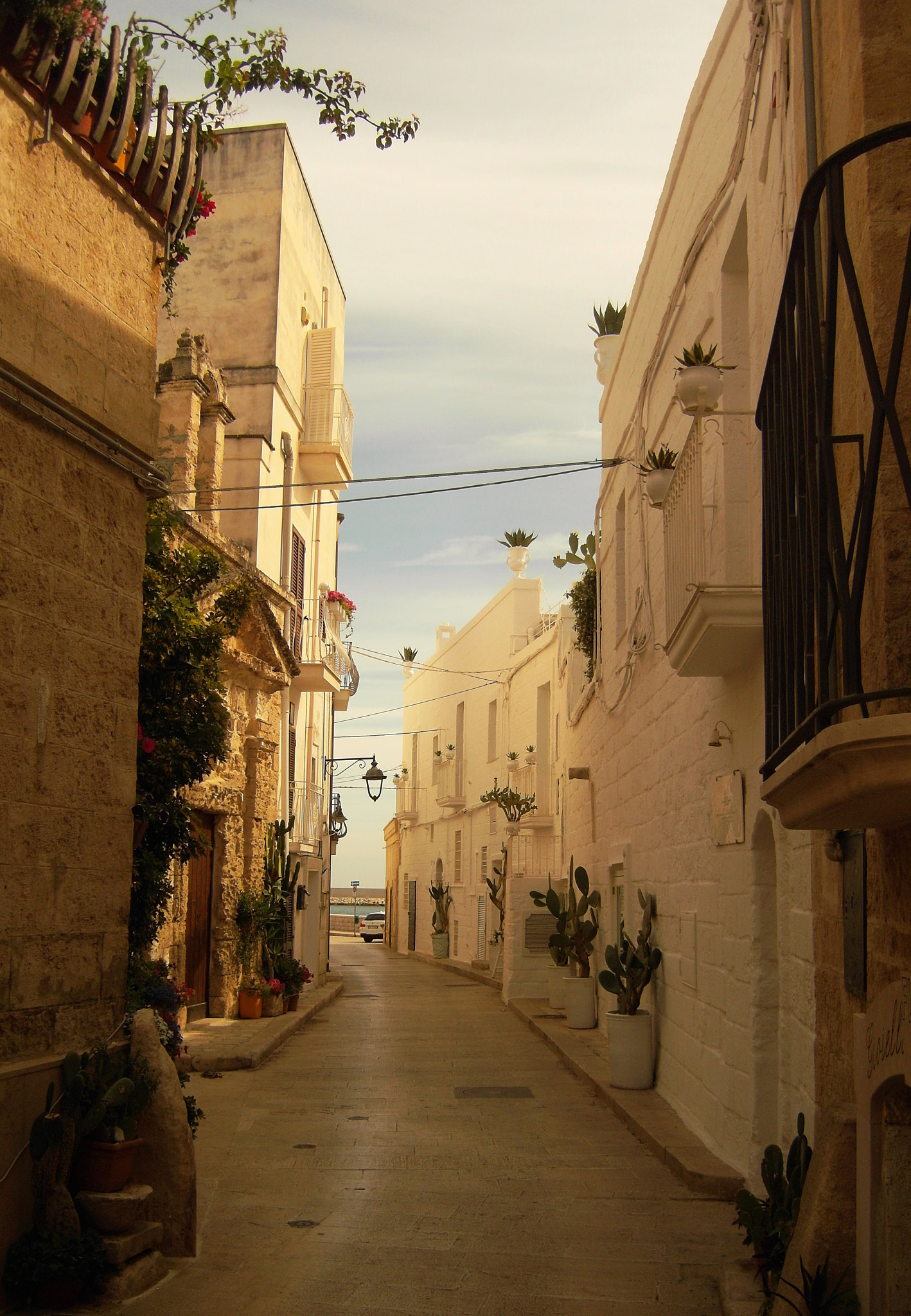 Samsung NV100HD, VLUU NV100HD, LANDIAO NV100HD, TL34HD sample photo. The path to the sea photography
