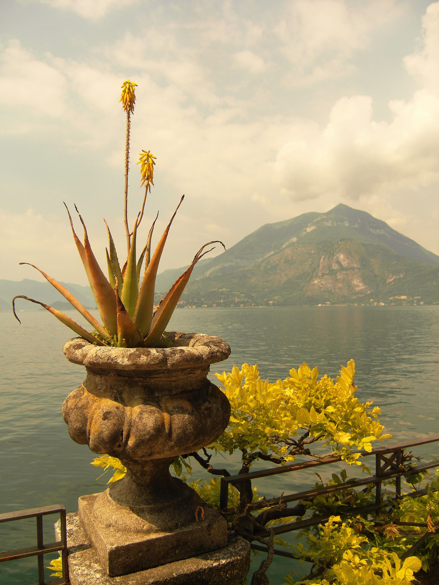 Samsung NV100HD, VLUU NV100HD, LANDIAO NV100HD, TL34HD sample photo. That branch of the como lake photography
