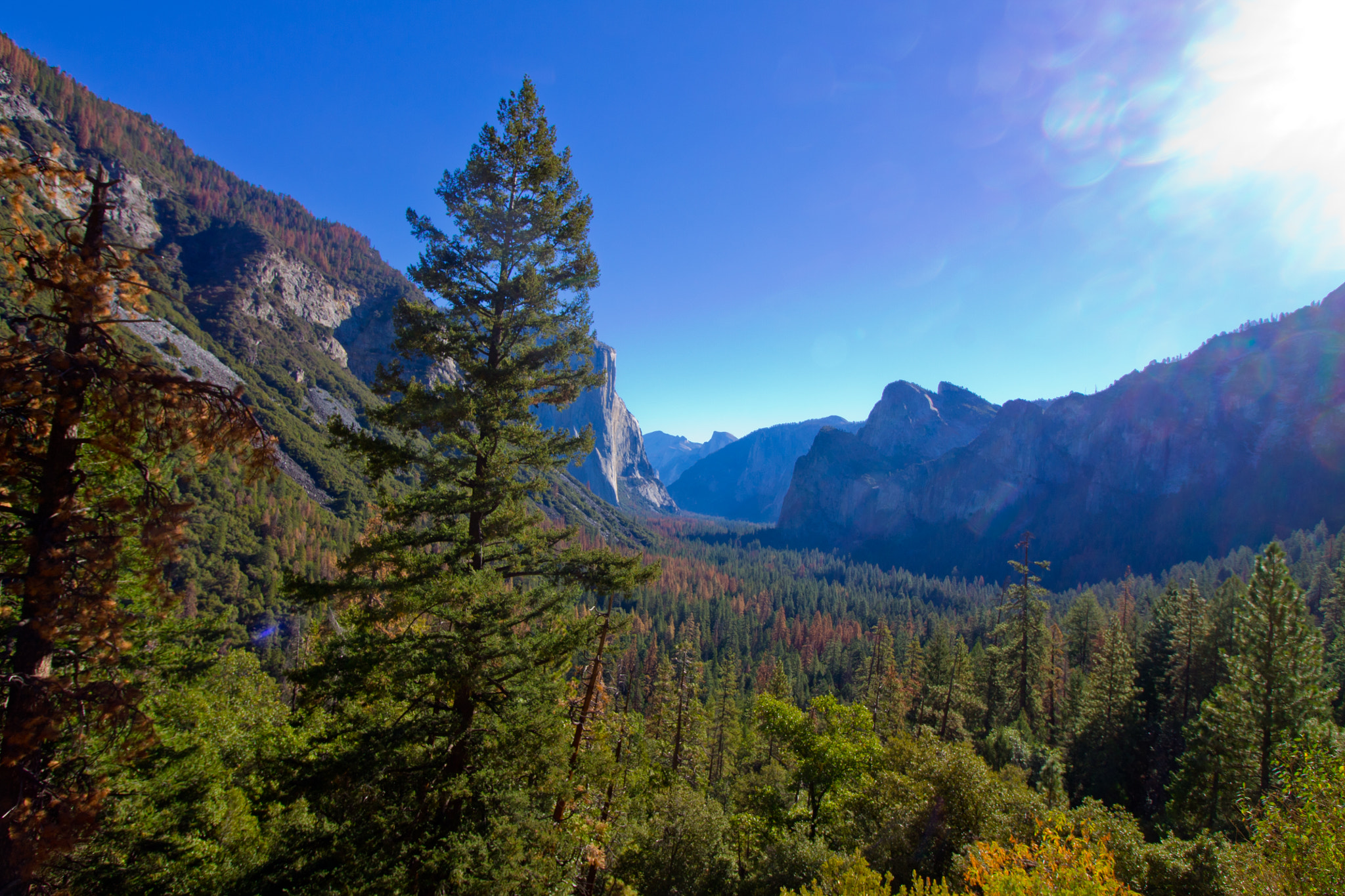Canon EOS 1100D (EOS Rebel T3 / EOS Kiss X50) sample photo. Tunnel view photography