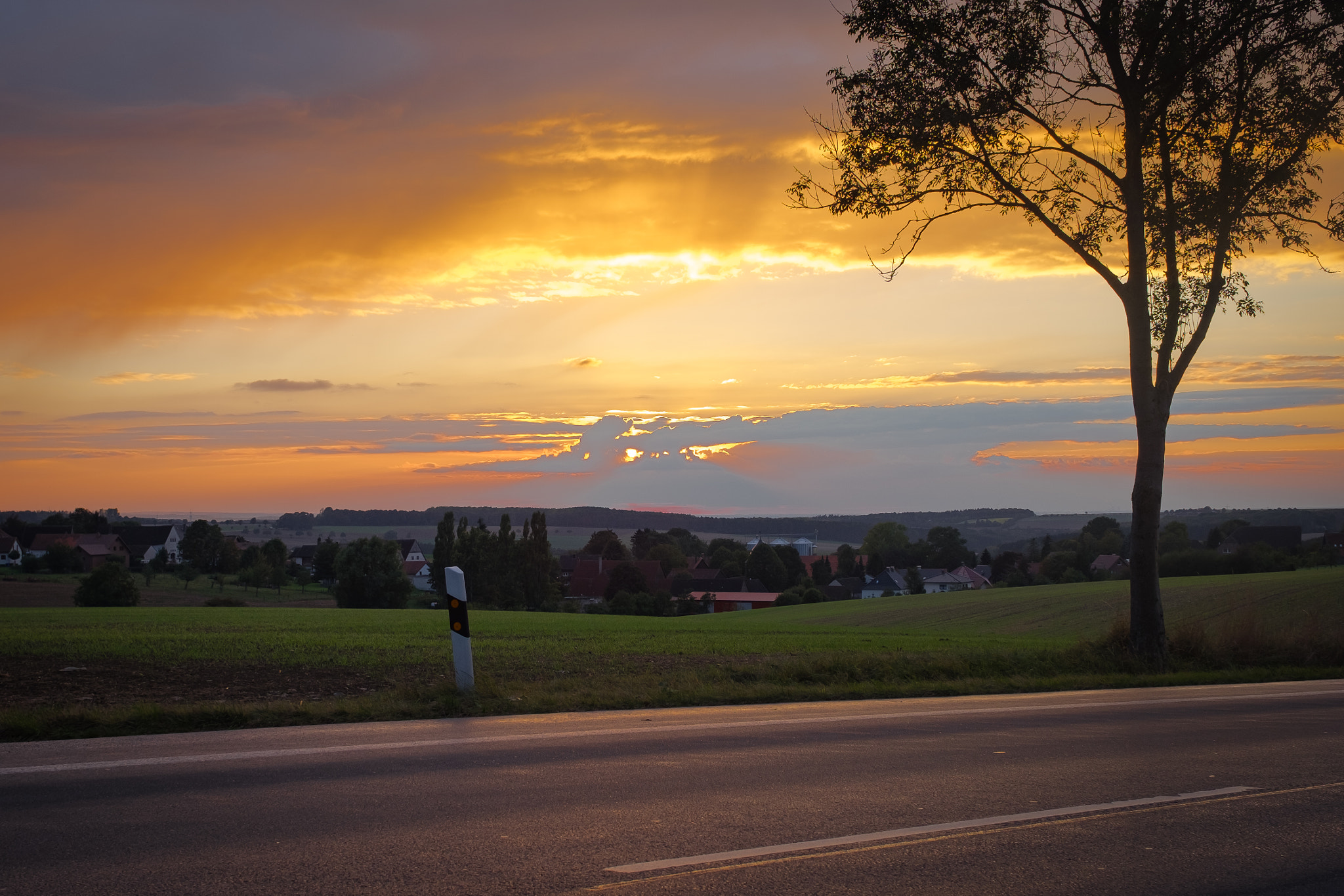 ZEISS Touit 32mm F1.8 sample photo. Sunset tree photography