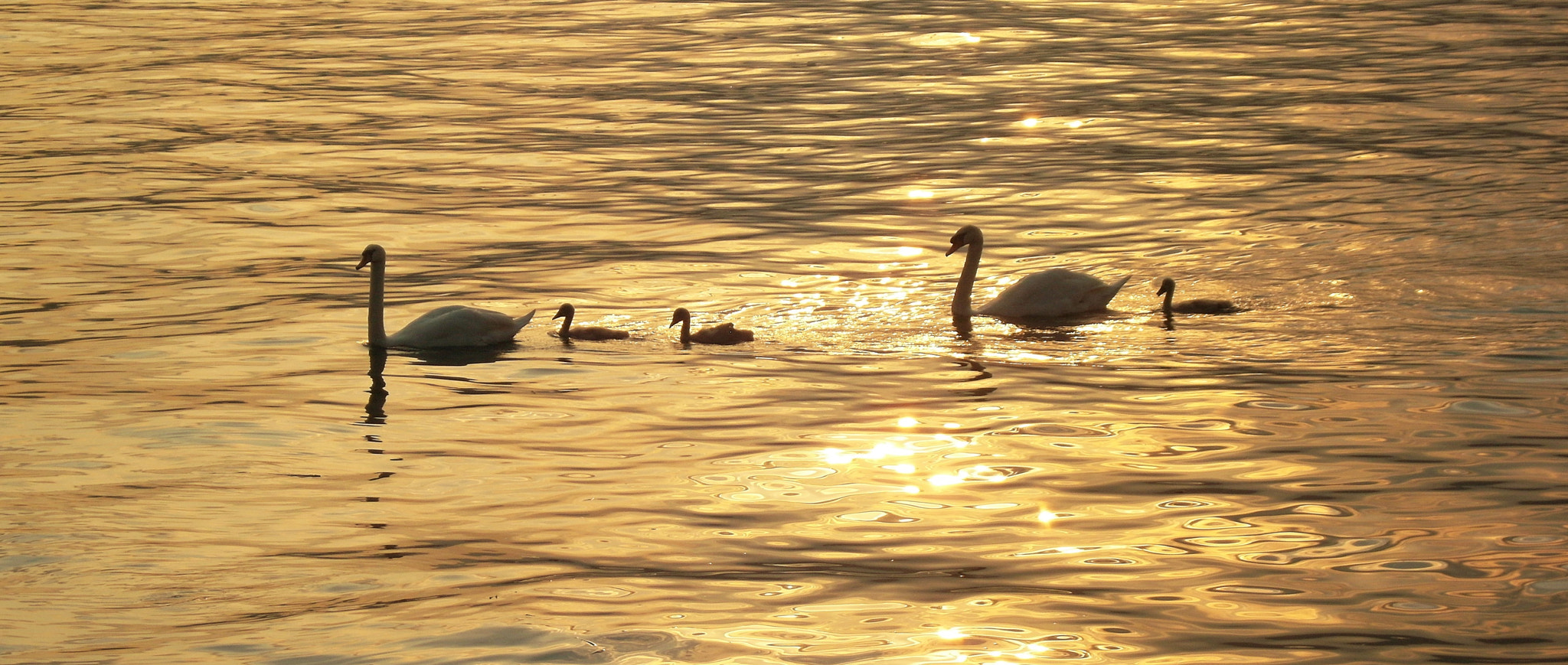 Samsung NV100HD, VLUU NV100HD, LANDIAO NV100HD, TL34HD sample photo. Evening on the como lake photography