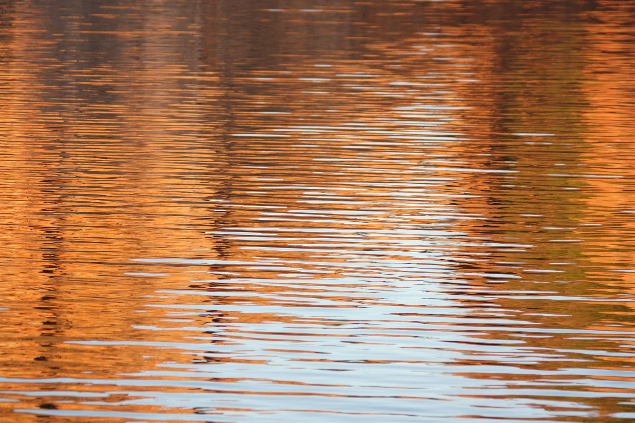 Canon EF 75-300mm F4.0-5.6 IS USM sample photo. Litchfield glow photography
