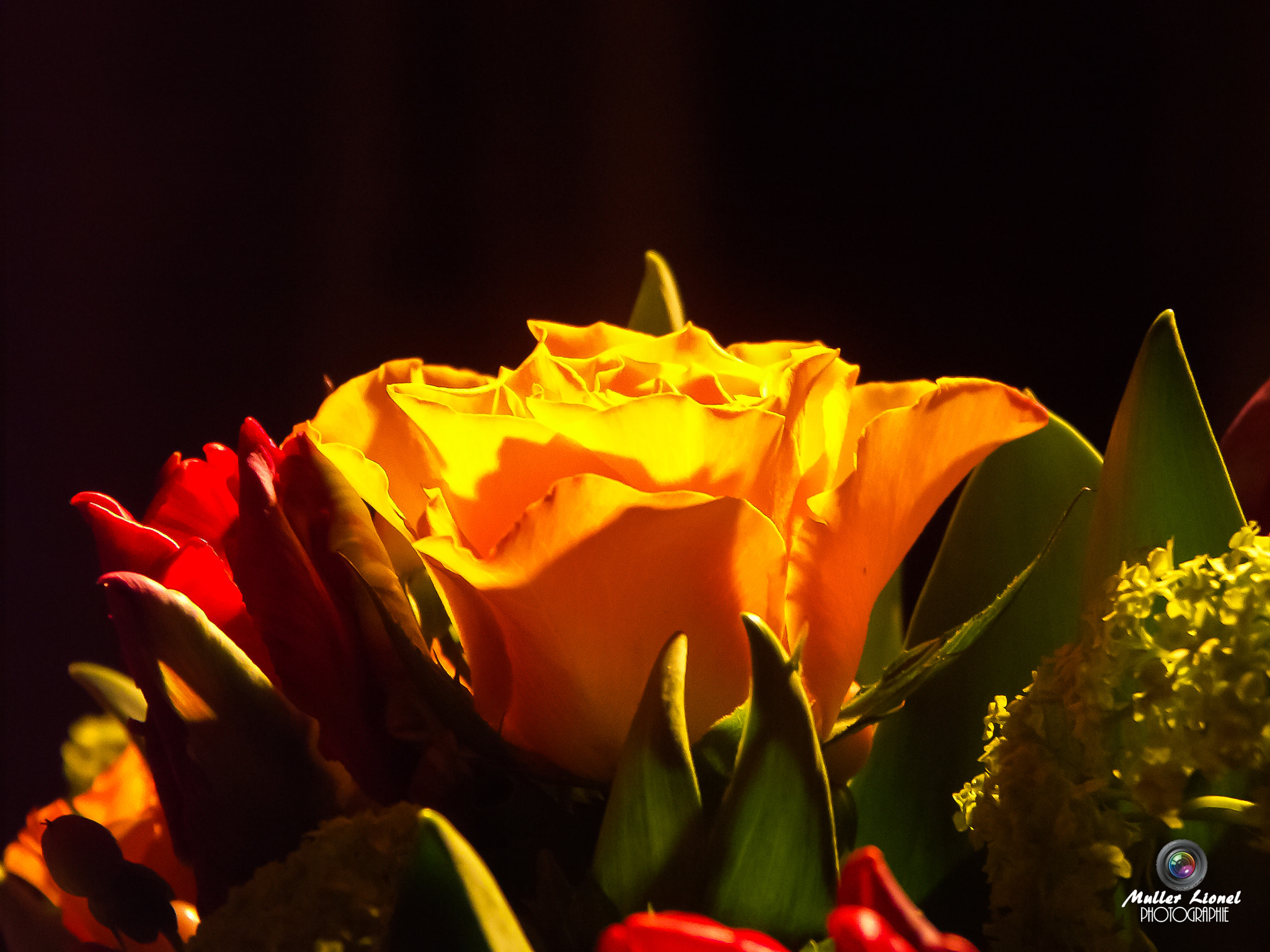 KONICA MINOLTA DiMAGE A1 sample photo. Bouquet photography