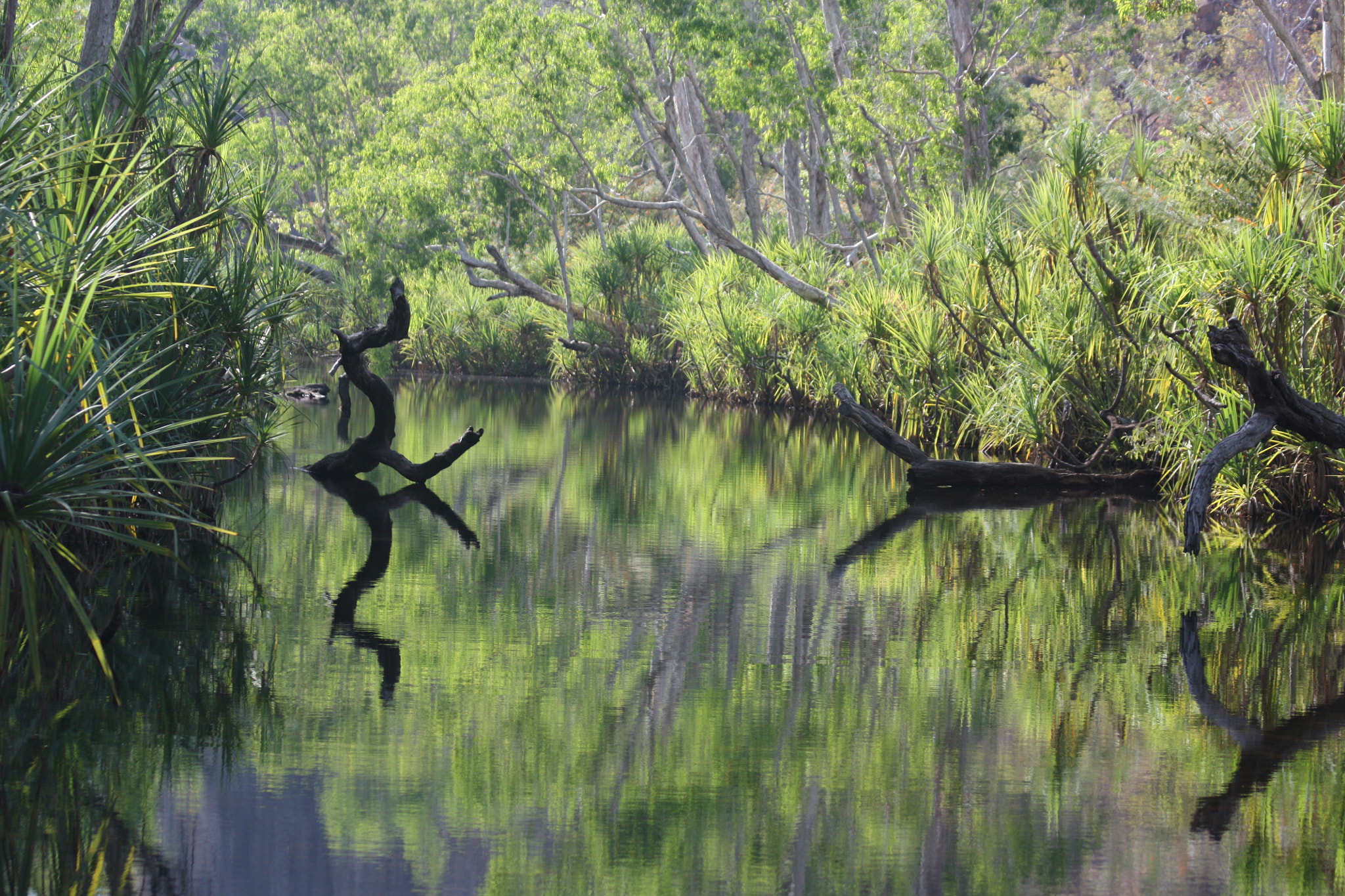 Canon EF 75-300mm F4.0-5.6 IS USM sample photo. Gibb river road photography