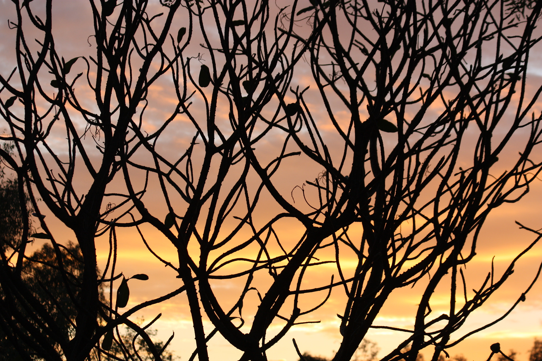 Canon EF 75-300mm F4.0-5.6 IS USM sample photo. Sunset silhouette photography