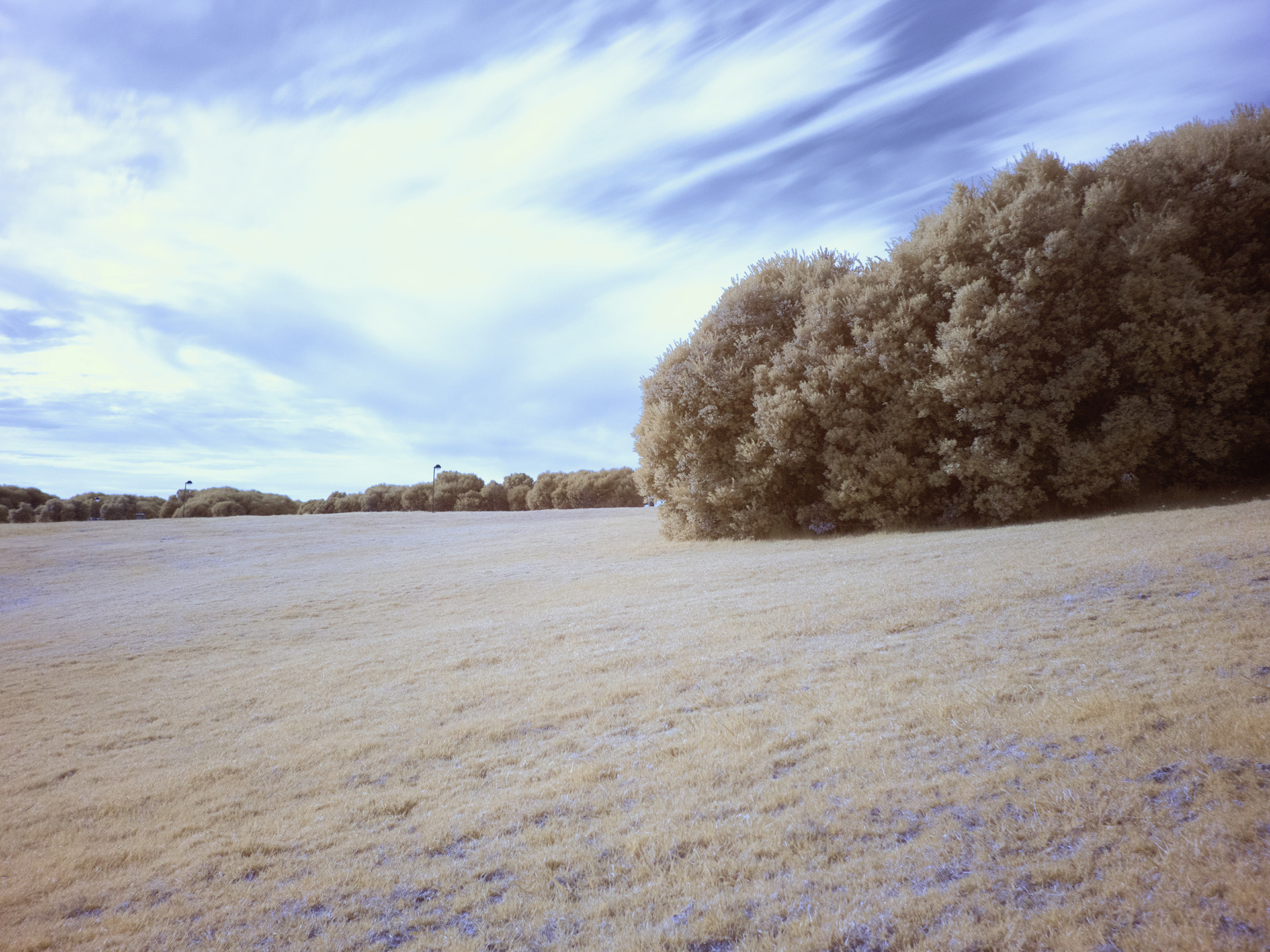 Panasonic Lumix DMC-GX8 sample photo. Porto_infrared1 photography