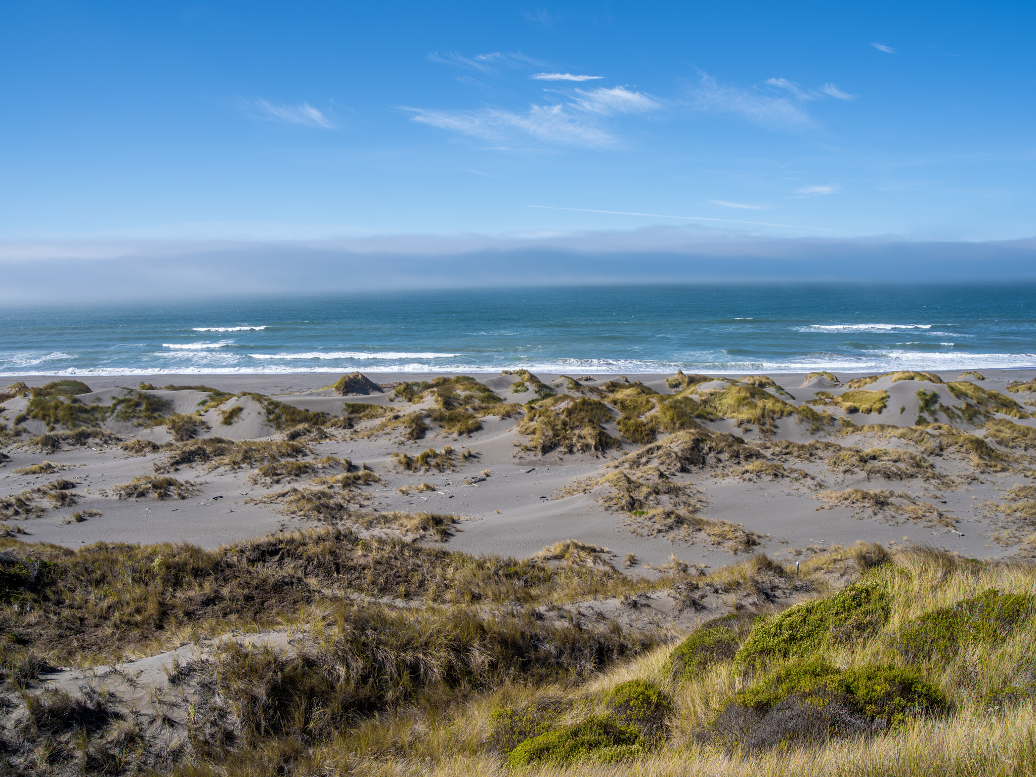 Pentax 645Z + HD Pentax-D FA645 35mm F3.5 AL [IF] sample photo. Dunes — pistol river photography