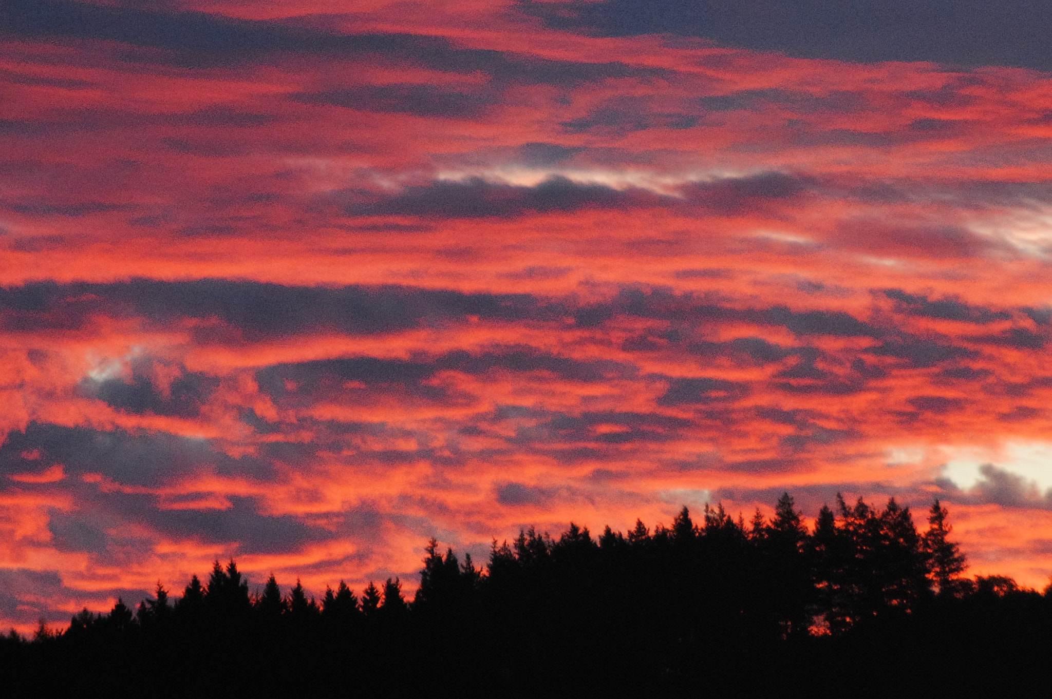 Nikon D3000 sample photo. Der himmel brennt photography