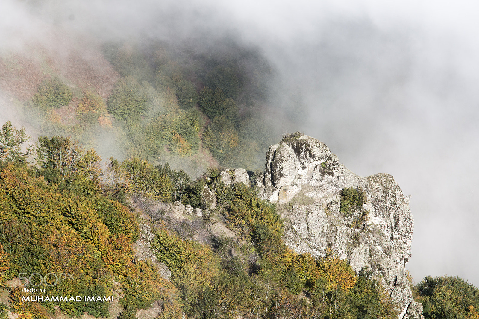Sigma 24-105mm f/4 DG OS HSM | A sample photo. Fall photography