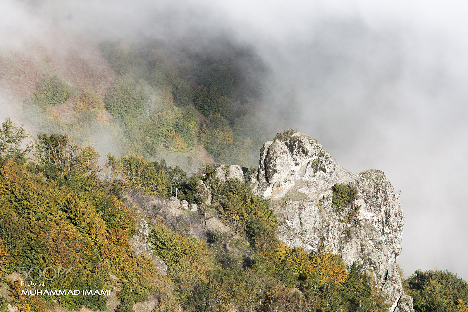 Canon EOS 70D + Sigma 24-105mm f/4 DG OS HSM | A sample photo. Fall photography