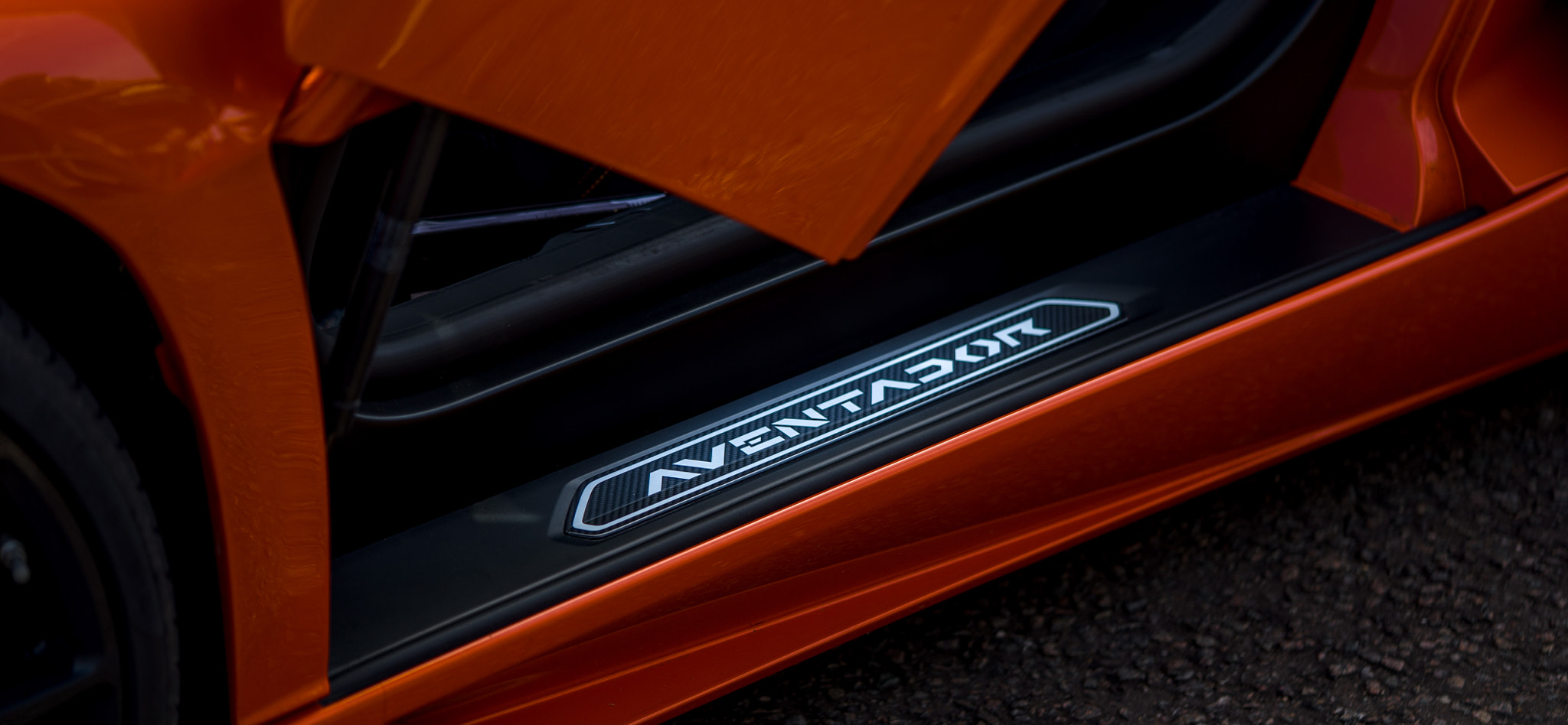 Sony a7S + Sony FE 90mm F2.8 Macro G OSS sample photo. Aventador photography