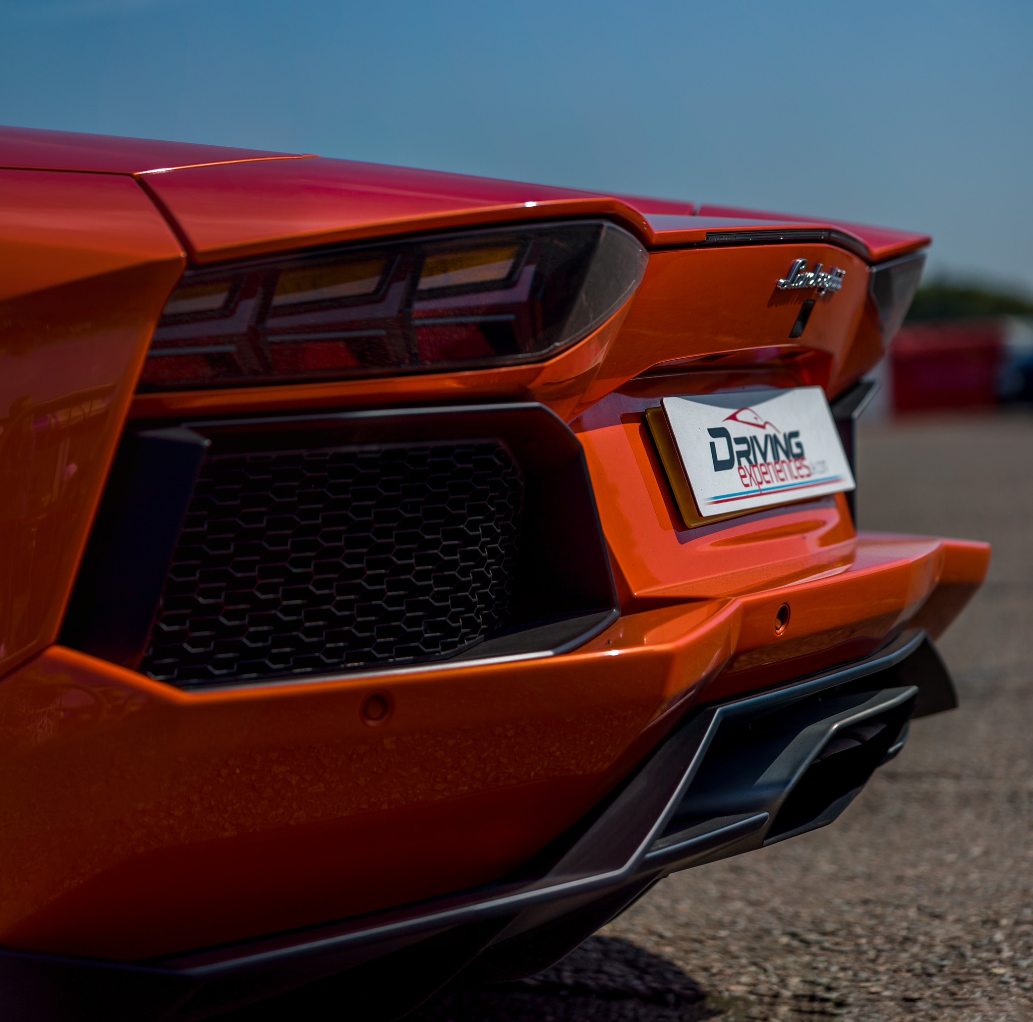 Sony a7S + Sony FE 90mm F2.8 Macro G OSS sample photo. Aventador photography