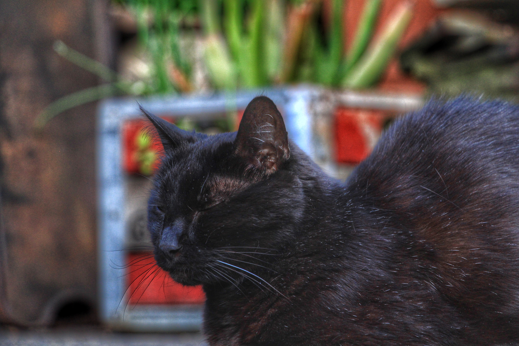 Canon EOS 700D (EOS Rebel T5i / EOS Kiss X7i) sample photo. It's that time of the day... photography
