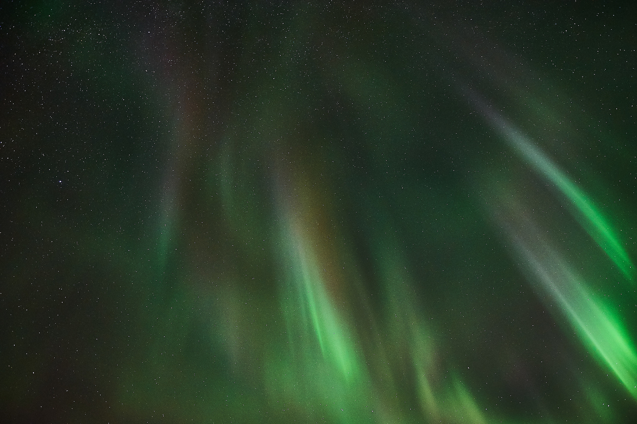 Nikon D700 sample photo. Aurora overhead photography