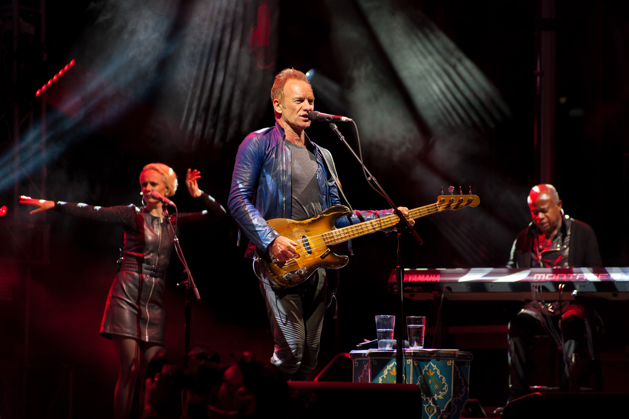 Nikon AF-Nikkor 80-200mm F2.8D ED sample photo. Sting. photography