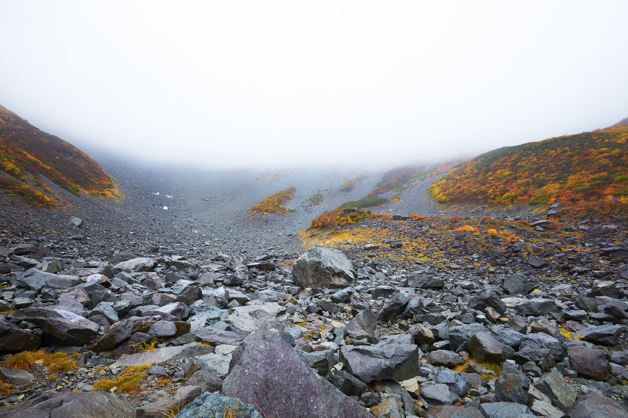 Canon EOS 5DS R + Canon EF 16-35mm F4L IS USM sample photo. Autumn karasawa curl photography