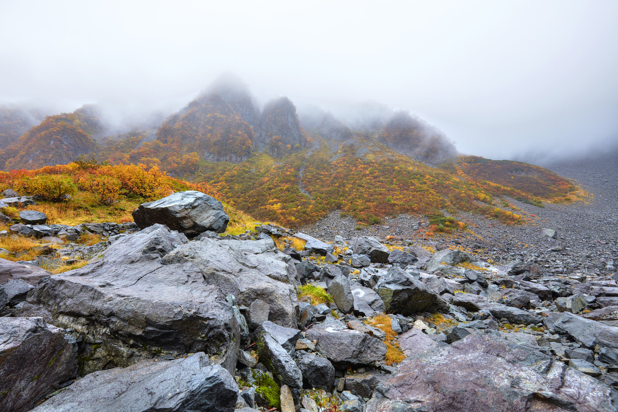 Canon EOS 5DS R + Canon EF 16-35mm F4L IS USM sample photo. Autumn karasawa curl photography