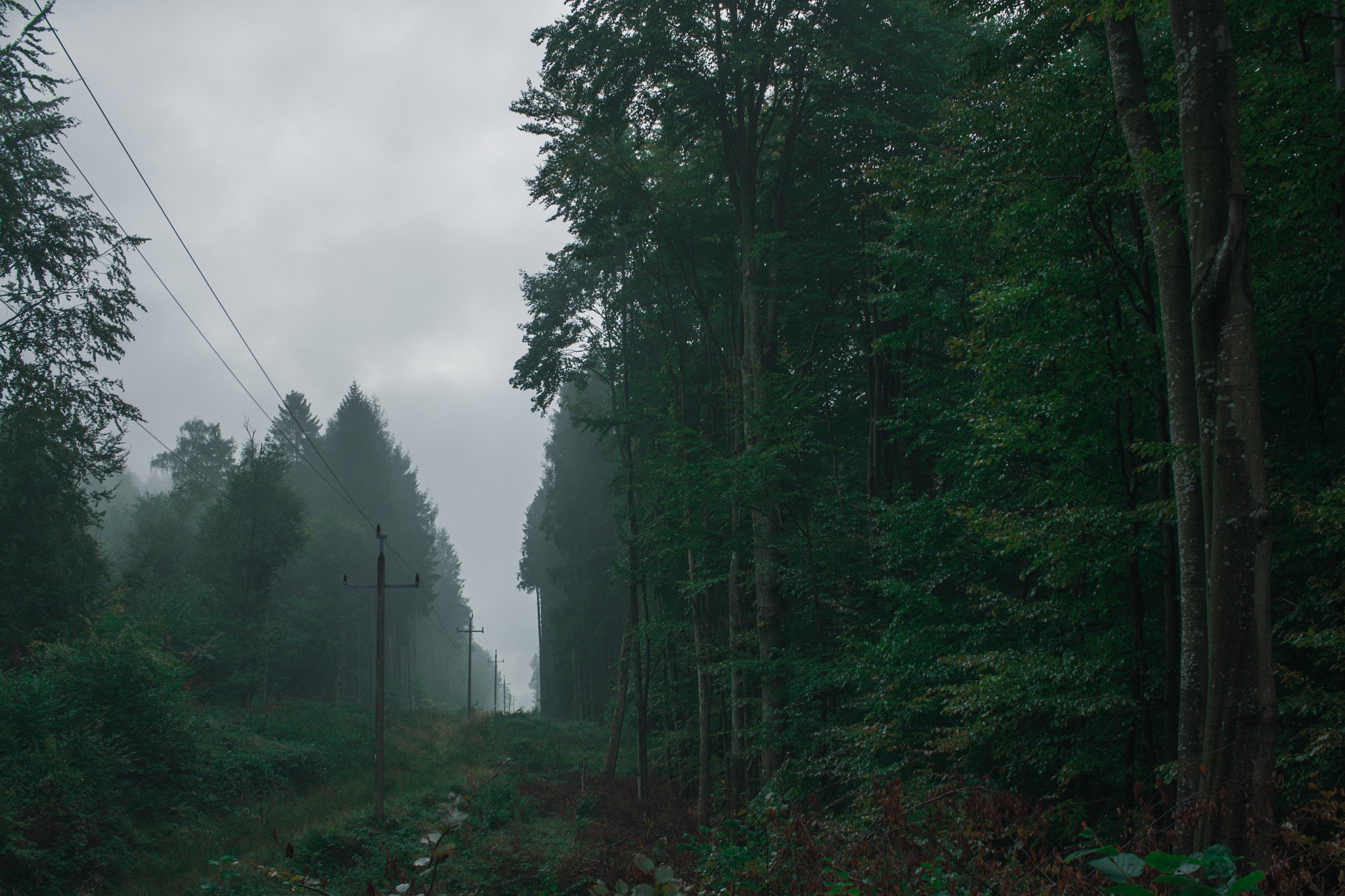 Canon EF-S 24mm F2.8 STM sample photo. Bieszczady photography