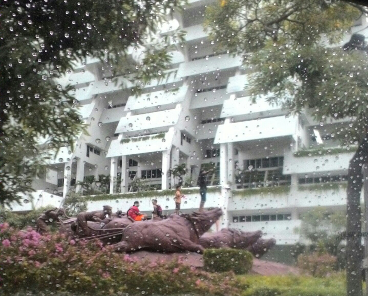 ASUS Z007 sample photo