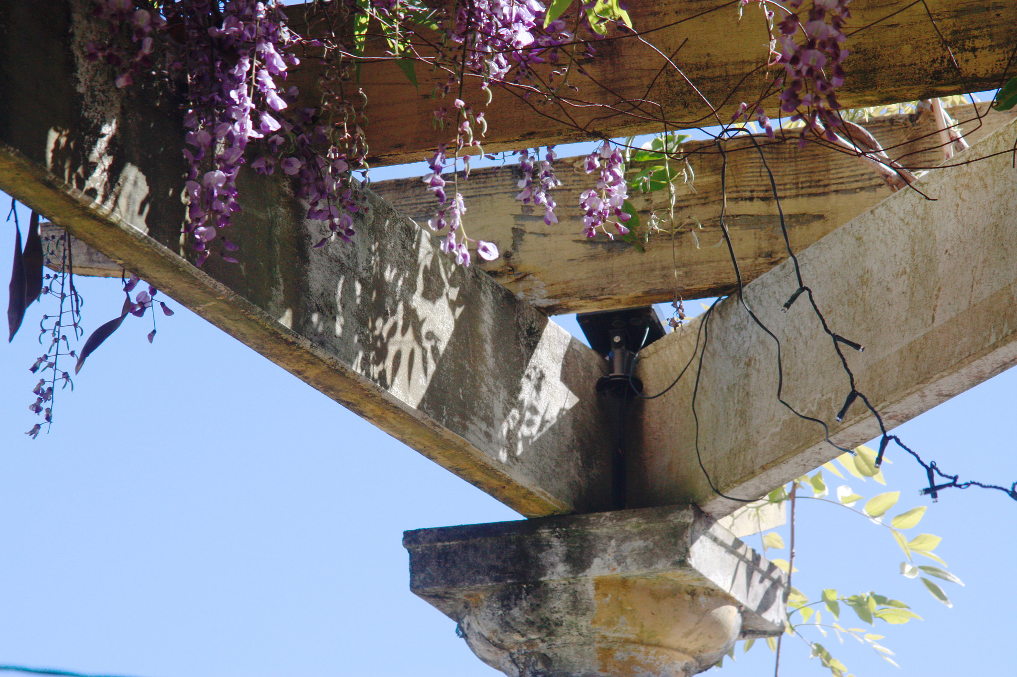Canon EF 28-200mm F3.5-5.6 USM sample photo. Lavender photography