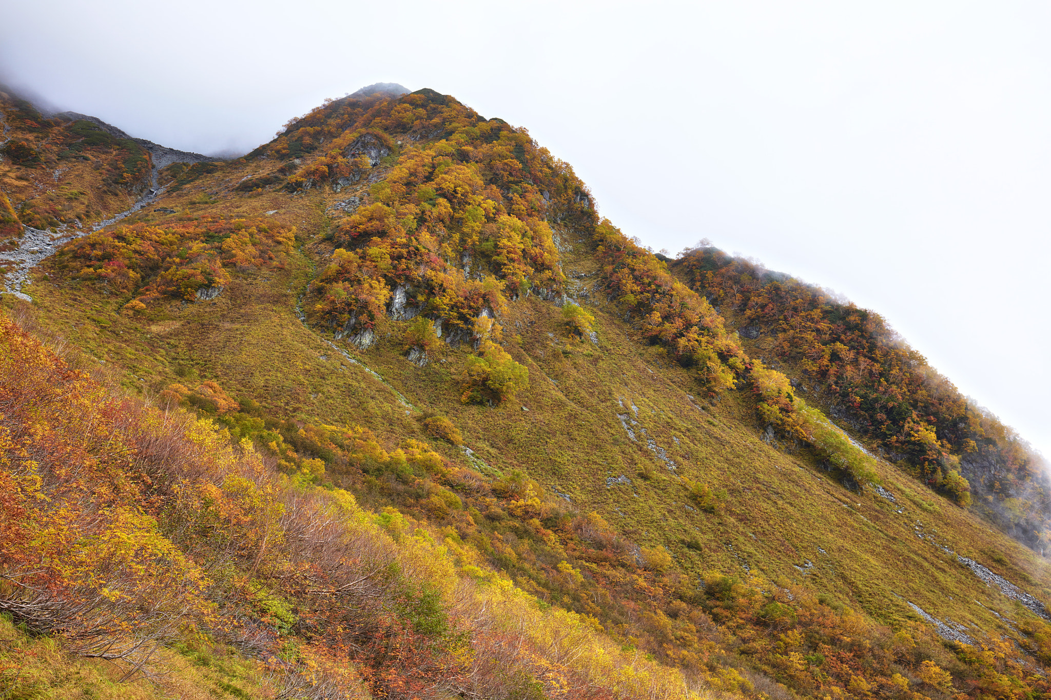 Canon EOS 5DS R + Canon EF 16-35mm F4L IS USM sample photo. Gilded with an autumn coloring photography