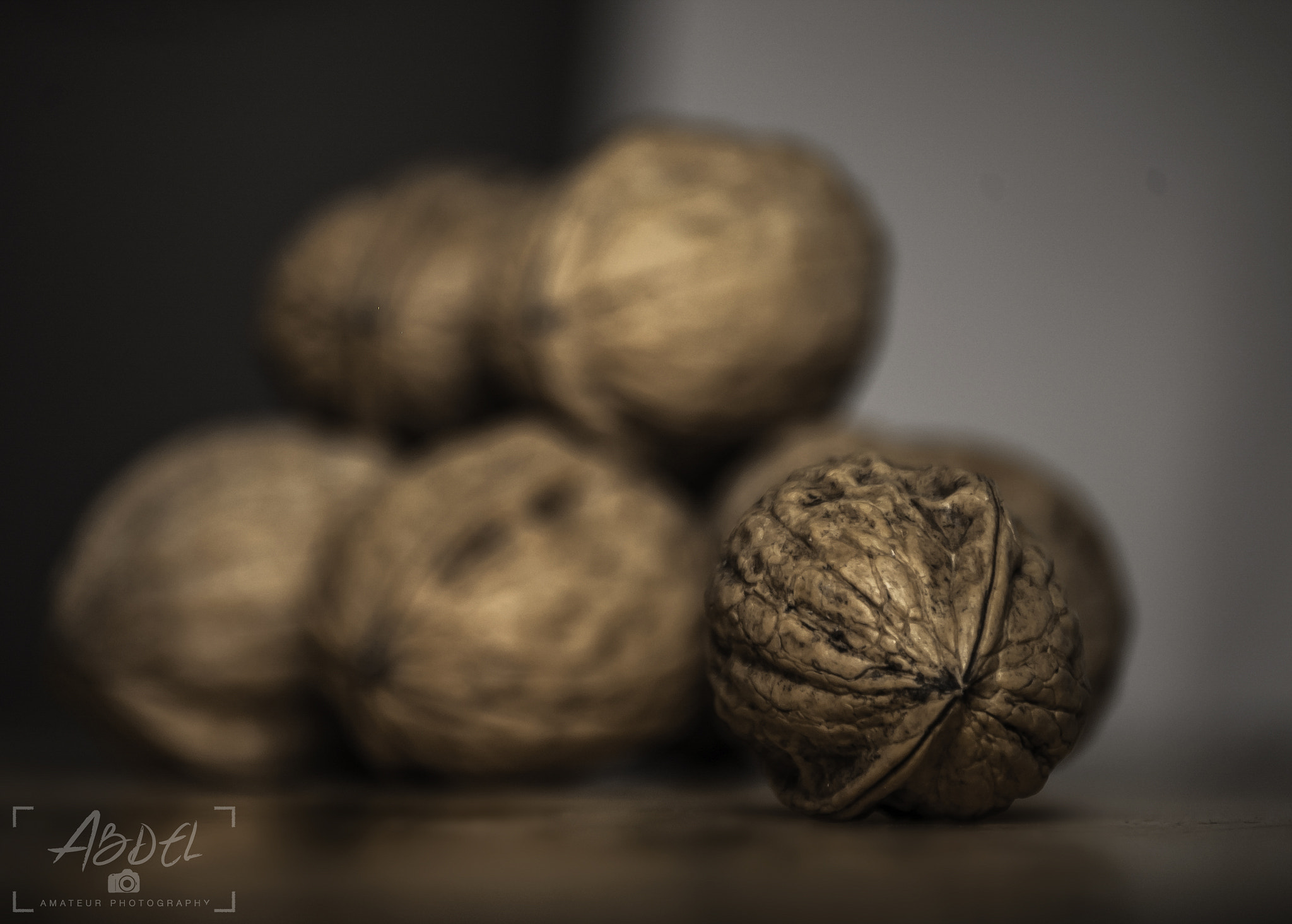 Nikon D50 sample photo. Walnutc photography