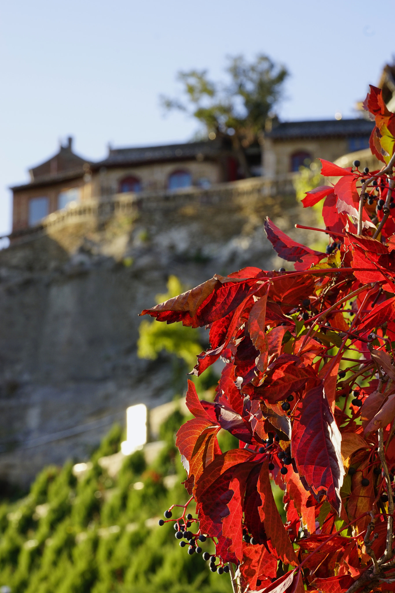 Sony PZ 300-1mm F0.0 OSS LE II sample photo. 霜葉紅於二郎山 photography