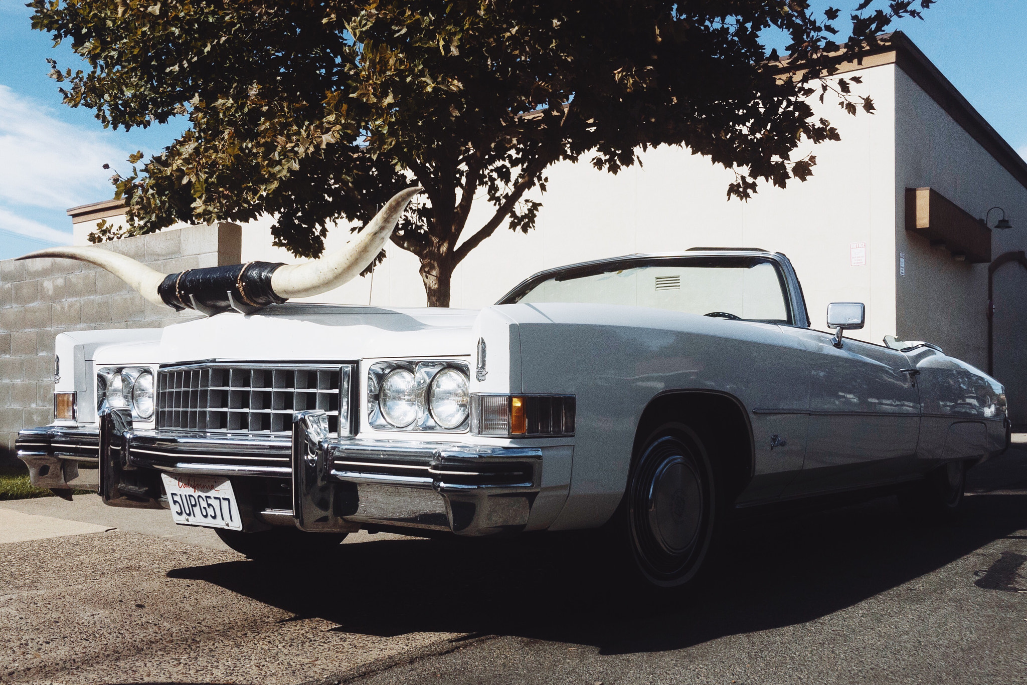 Apple iPhone sample photo. Texas forever photography
