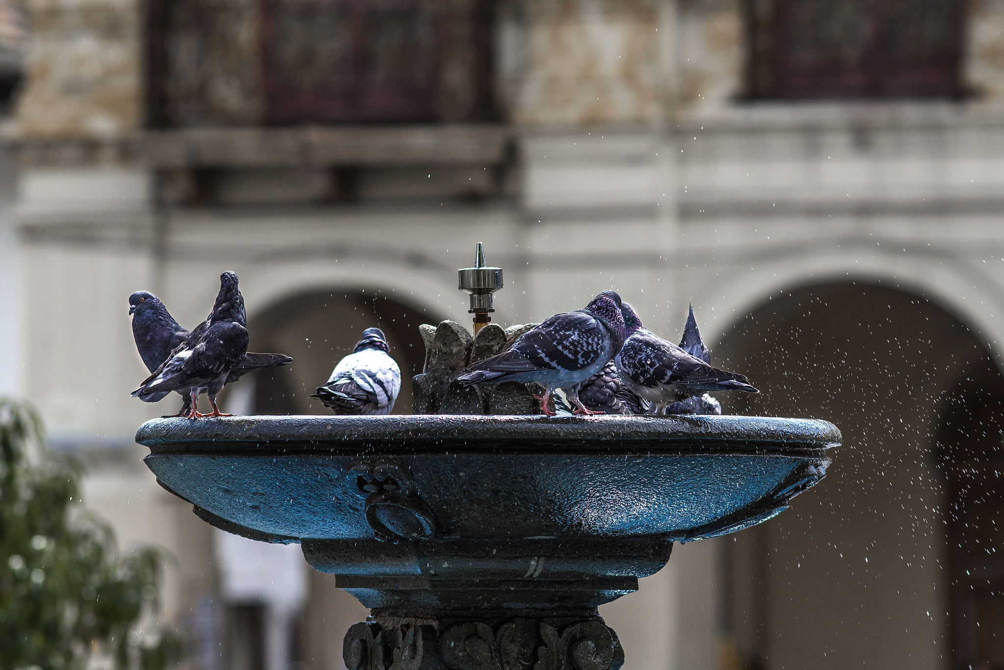 Canon EF 200mm F2.8L II USM sample photo. Fountain photography