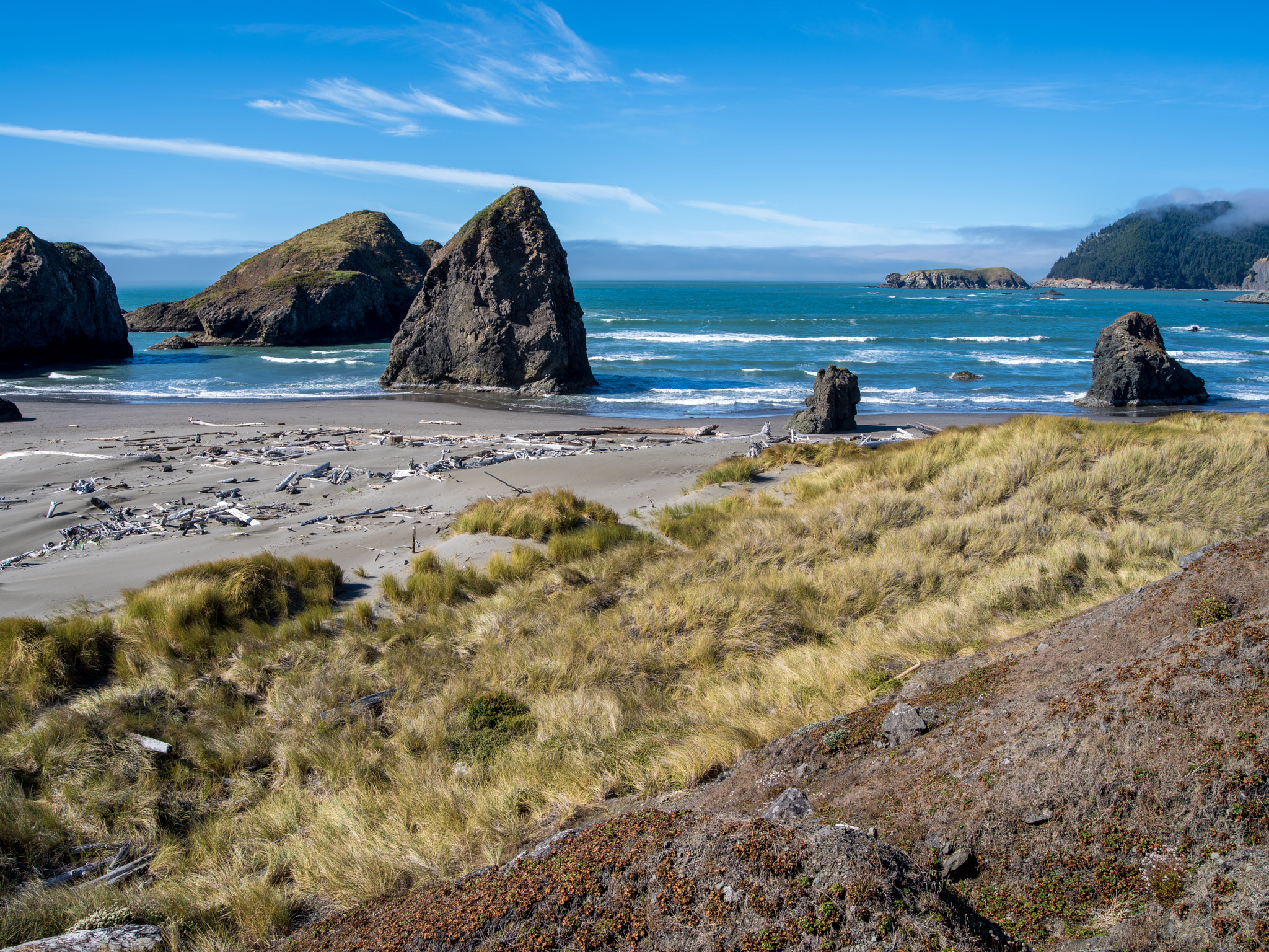 Pentax 645Z + HD Pentax-D FA645 35mm F3.5 AL [IF] sample photo. Meyers creek beach photography