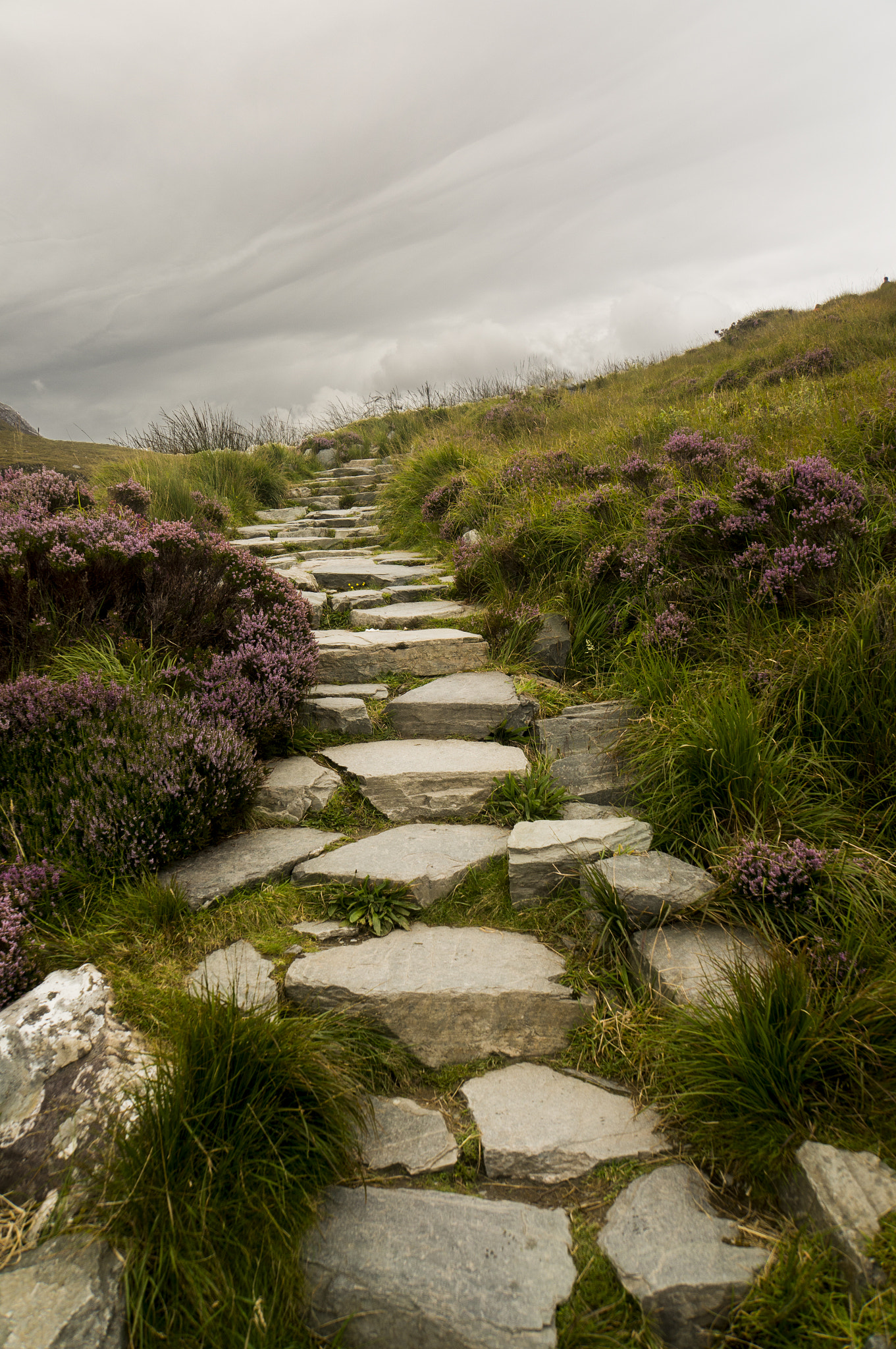 Sony Alpha NEX-6 sample photo. Stairway photography