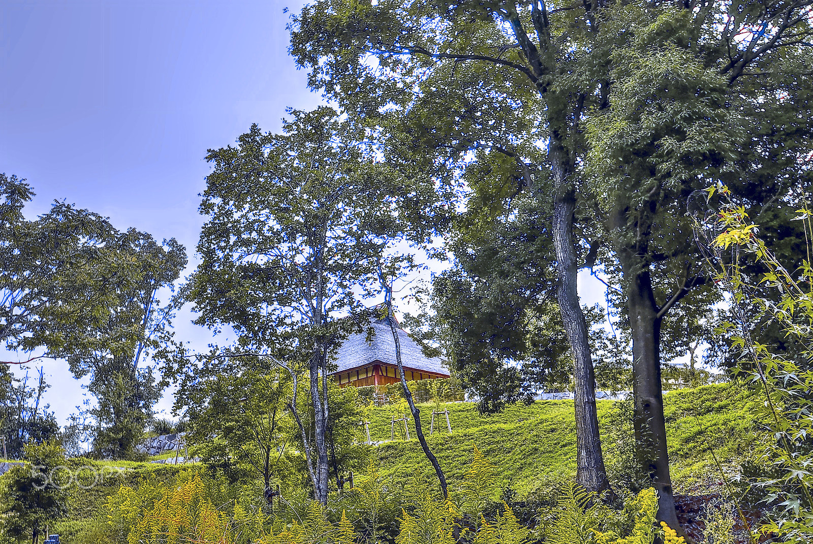 Nikon D200 sample photo. Old folk house of japan(hdr) photography