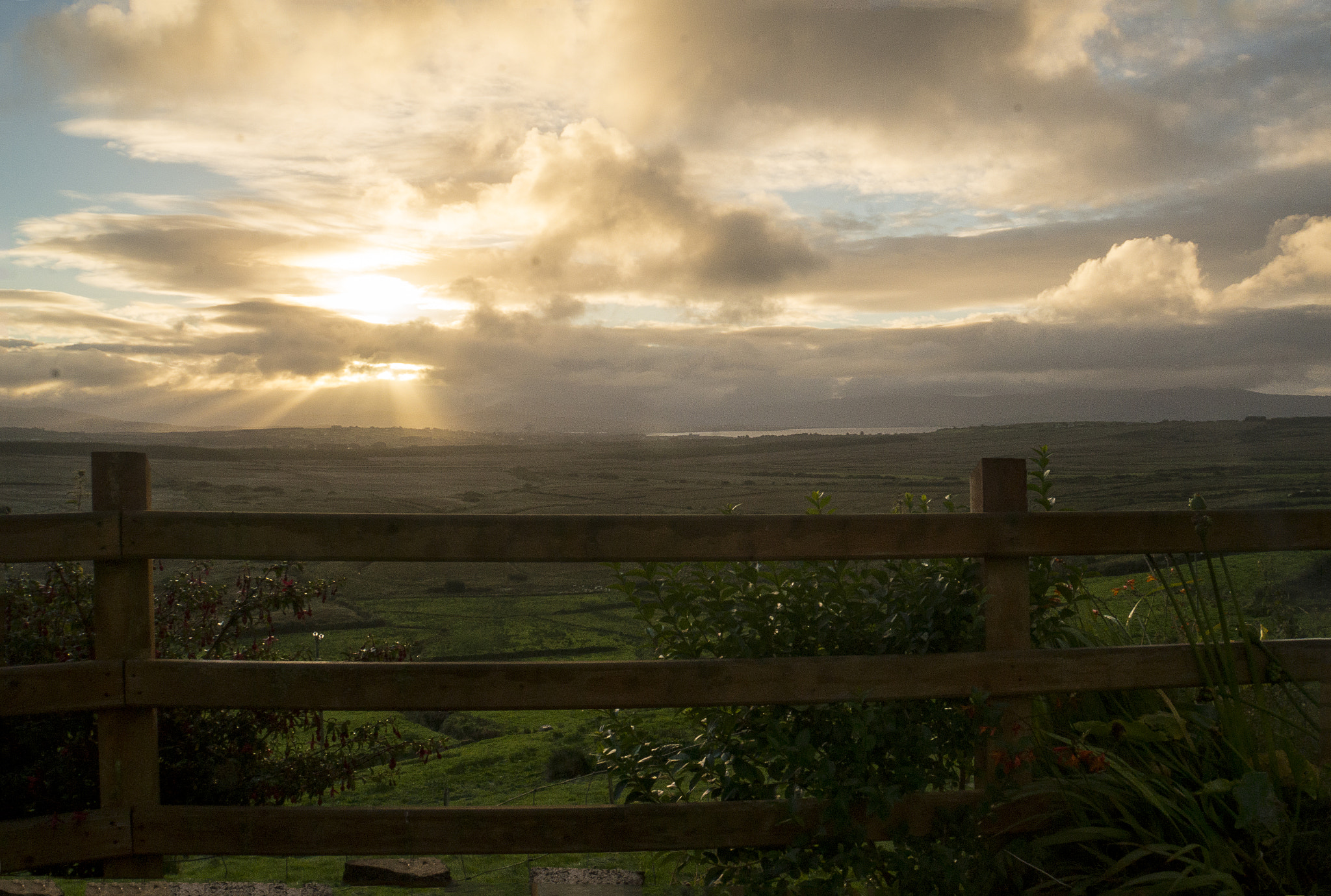 Sony Alpha NEX-6 sample photo. Fence photography